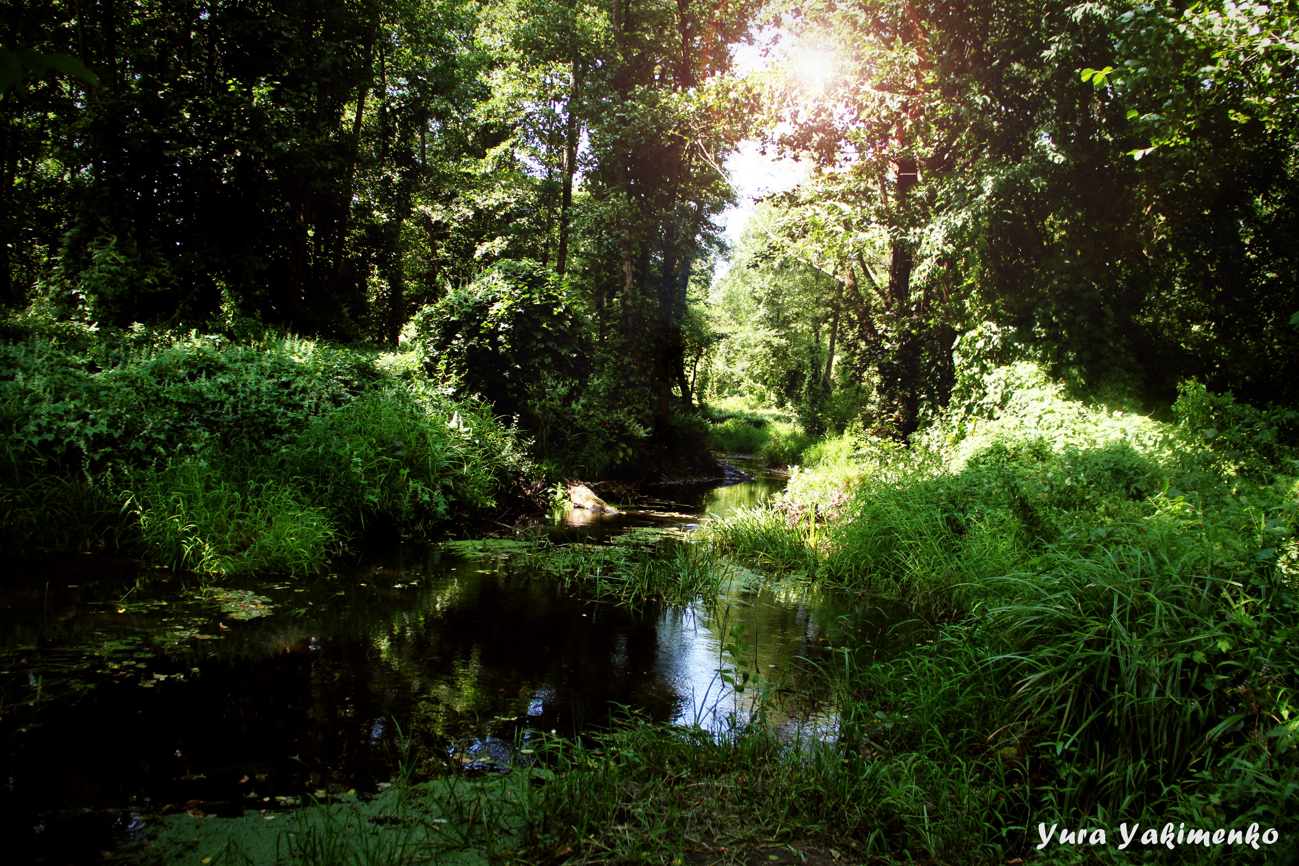 ✓ Природные красоты. Фотограф Юрий Якименко. Школьный, семейный и свадебный фотограф в Гоме