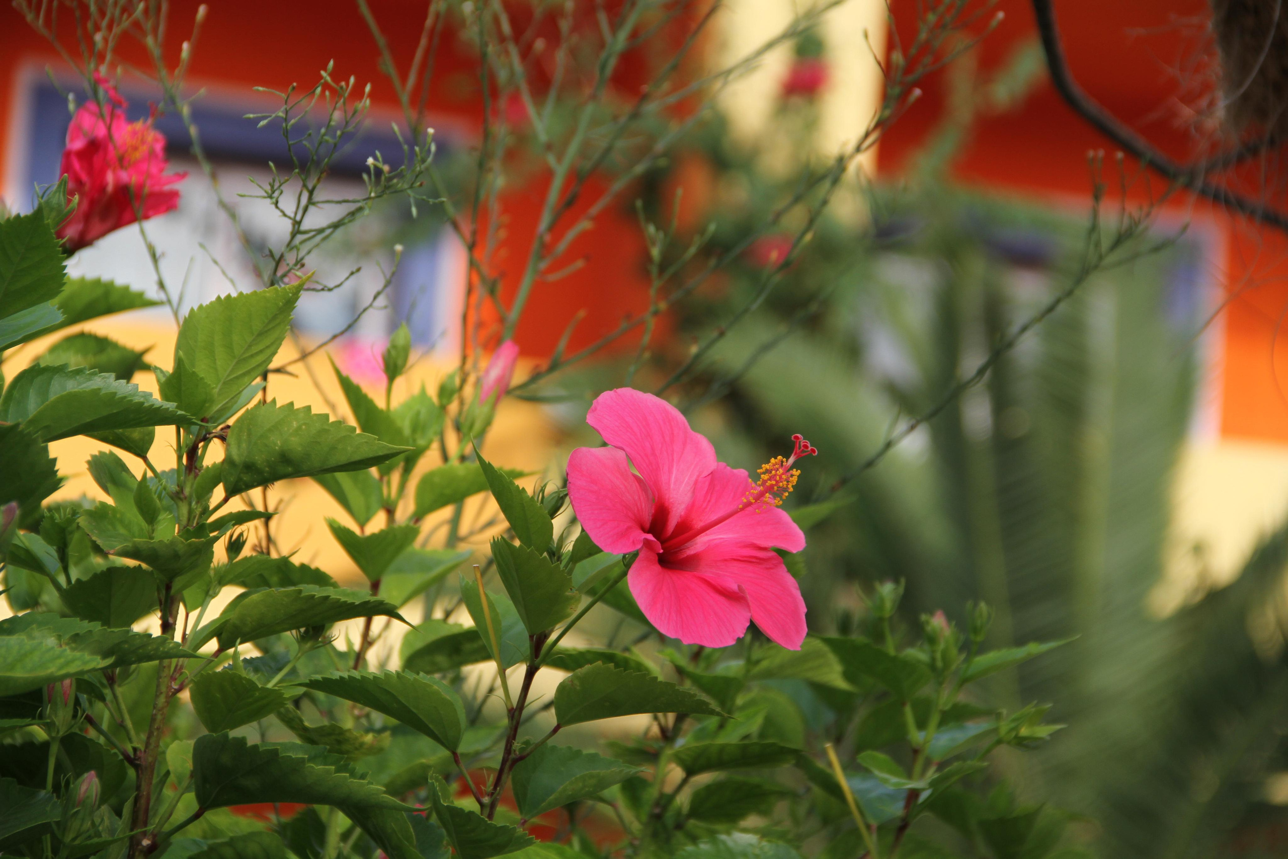 ✓ Природные красоты. Фотограф Юрий Якименко. Школьный, семейный и свадебный фотограф в Гоме