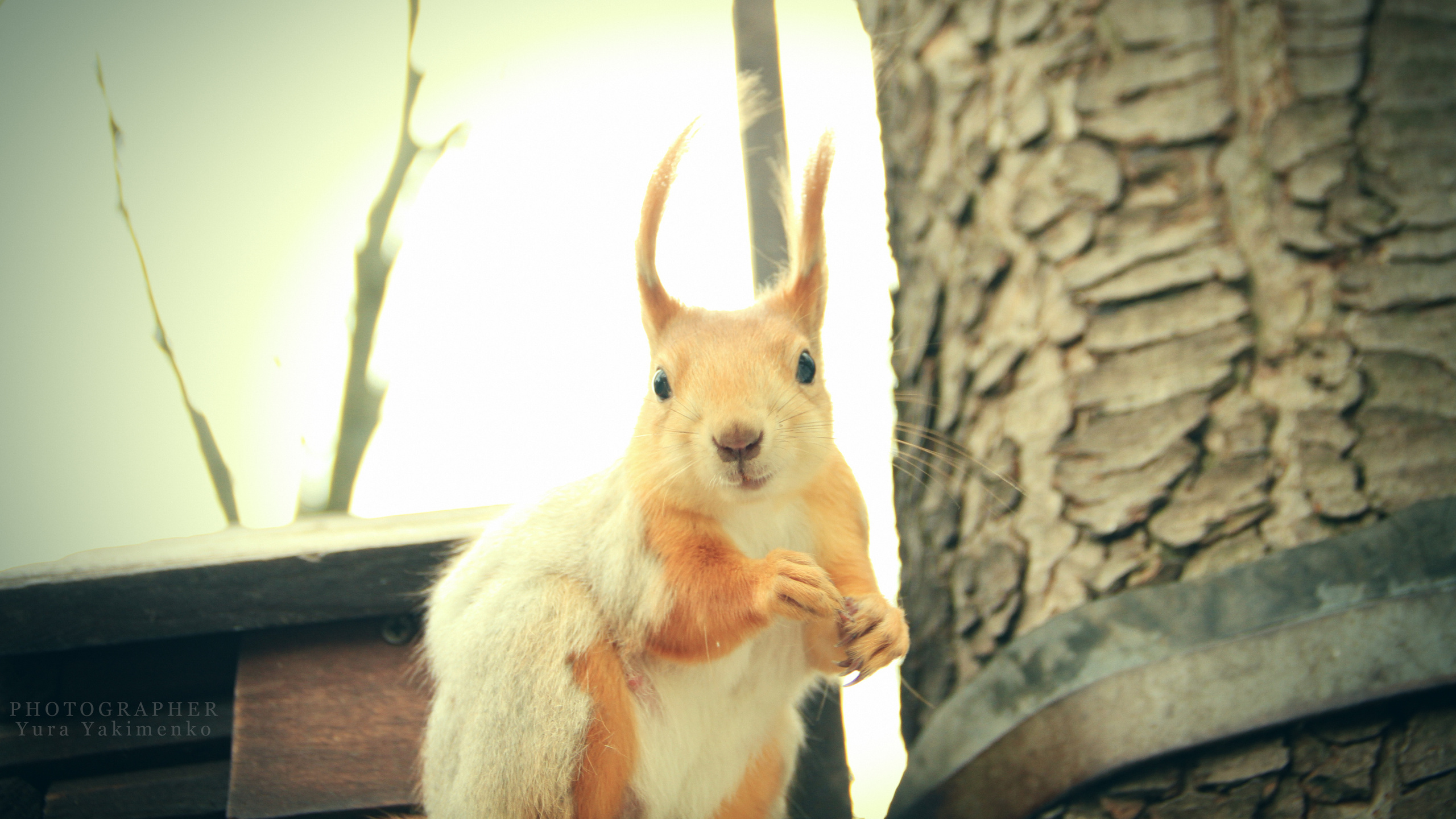 ✓ Природные красоты. Фотограф Юрий Якименко. Школьный, семейный и свадебный фотограф в Гоме