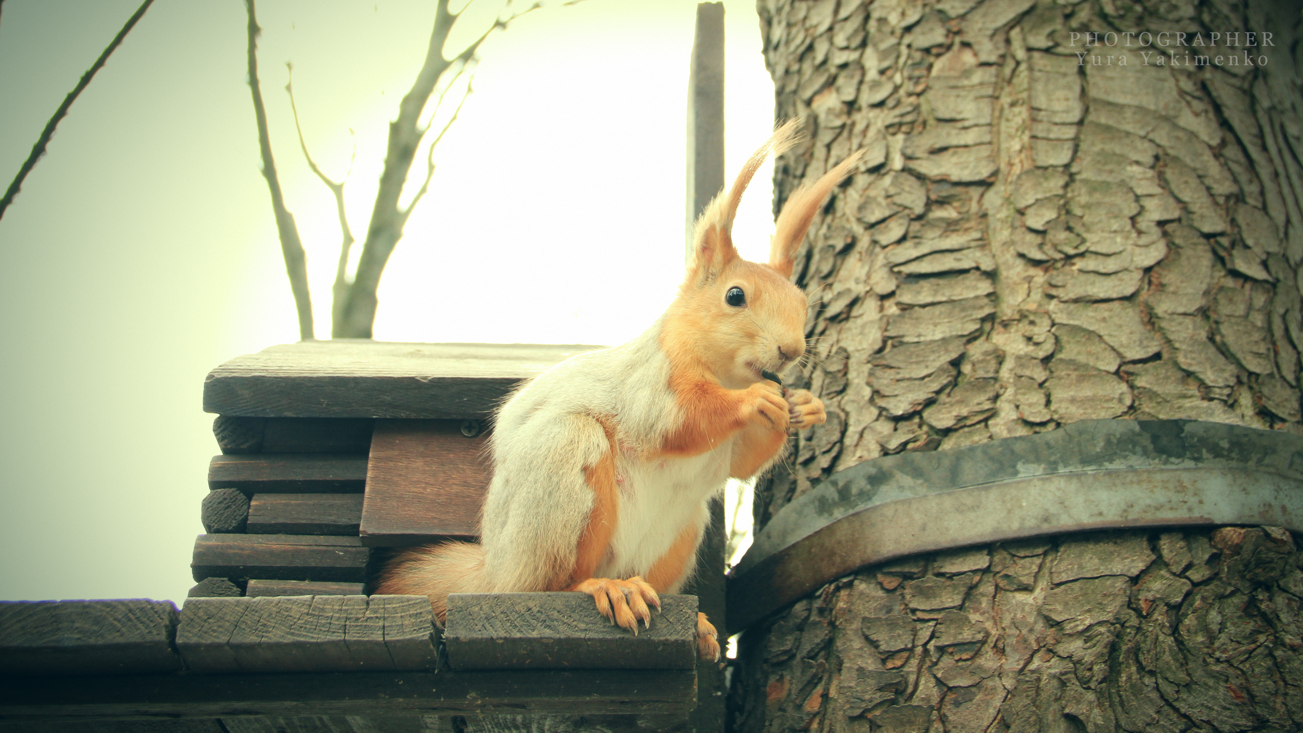 ✓ Природные красоты. Фотограф Юрий Якименко. Школьный, семейный и свадебный фотограф в Гоме