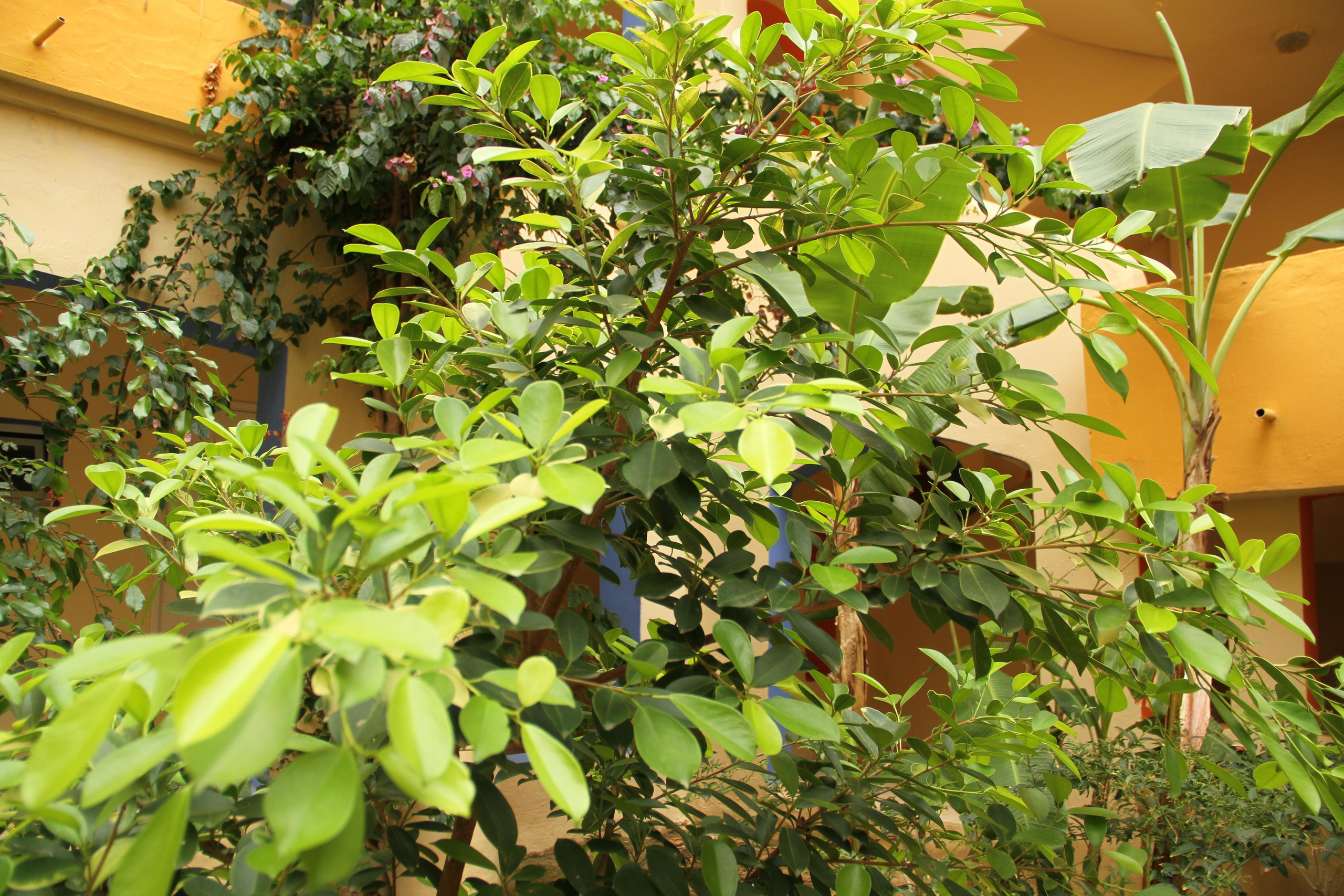 ✓ Природные красоты. Фотограф Юрий Якименко. Школьный, семейный и свадебный фотограф в Гоме