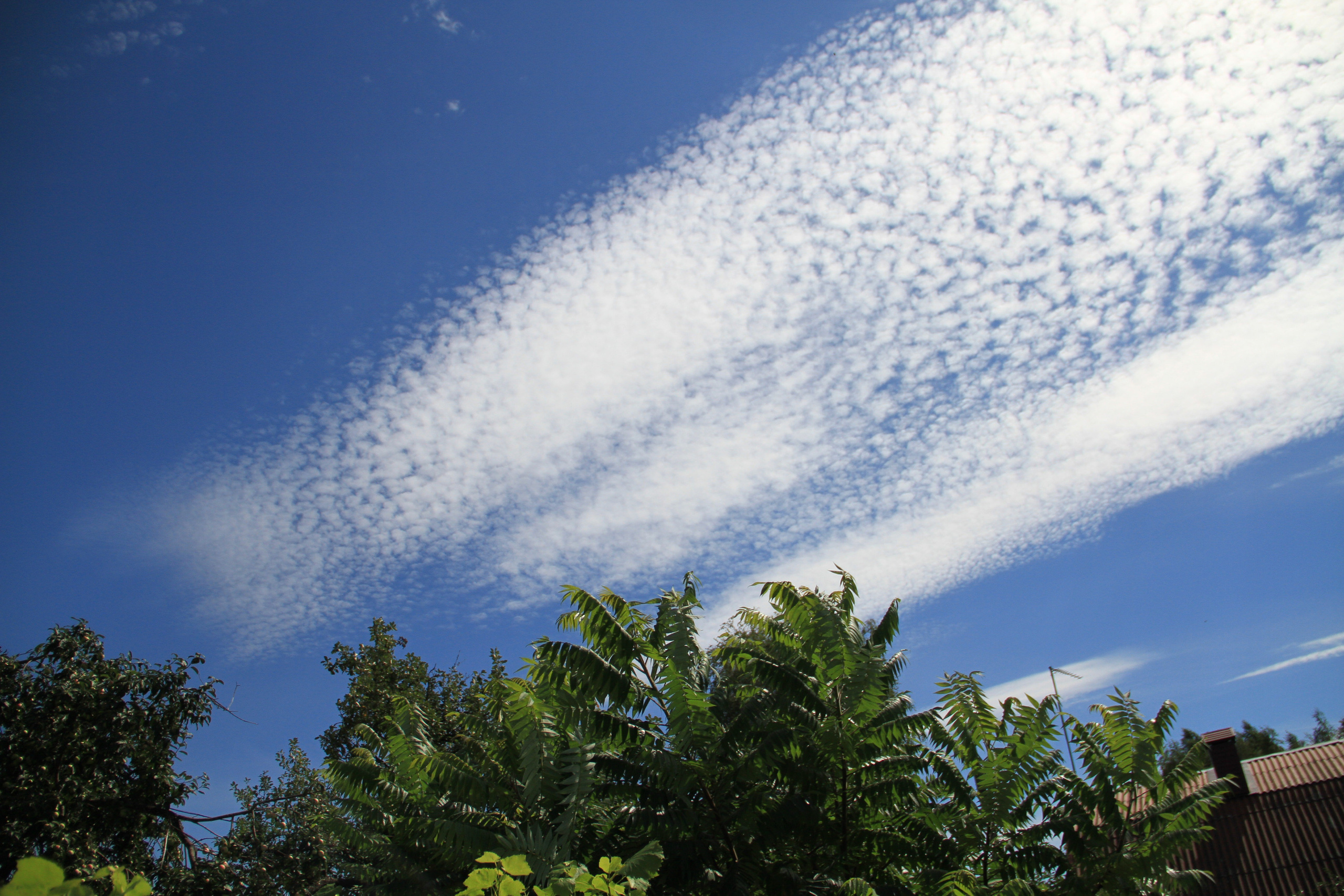 ✓ Природные красоты. Фотограф Юрий Якименко. Школьный, семейный и свадебный фотограф в Гоме