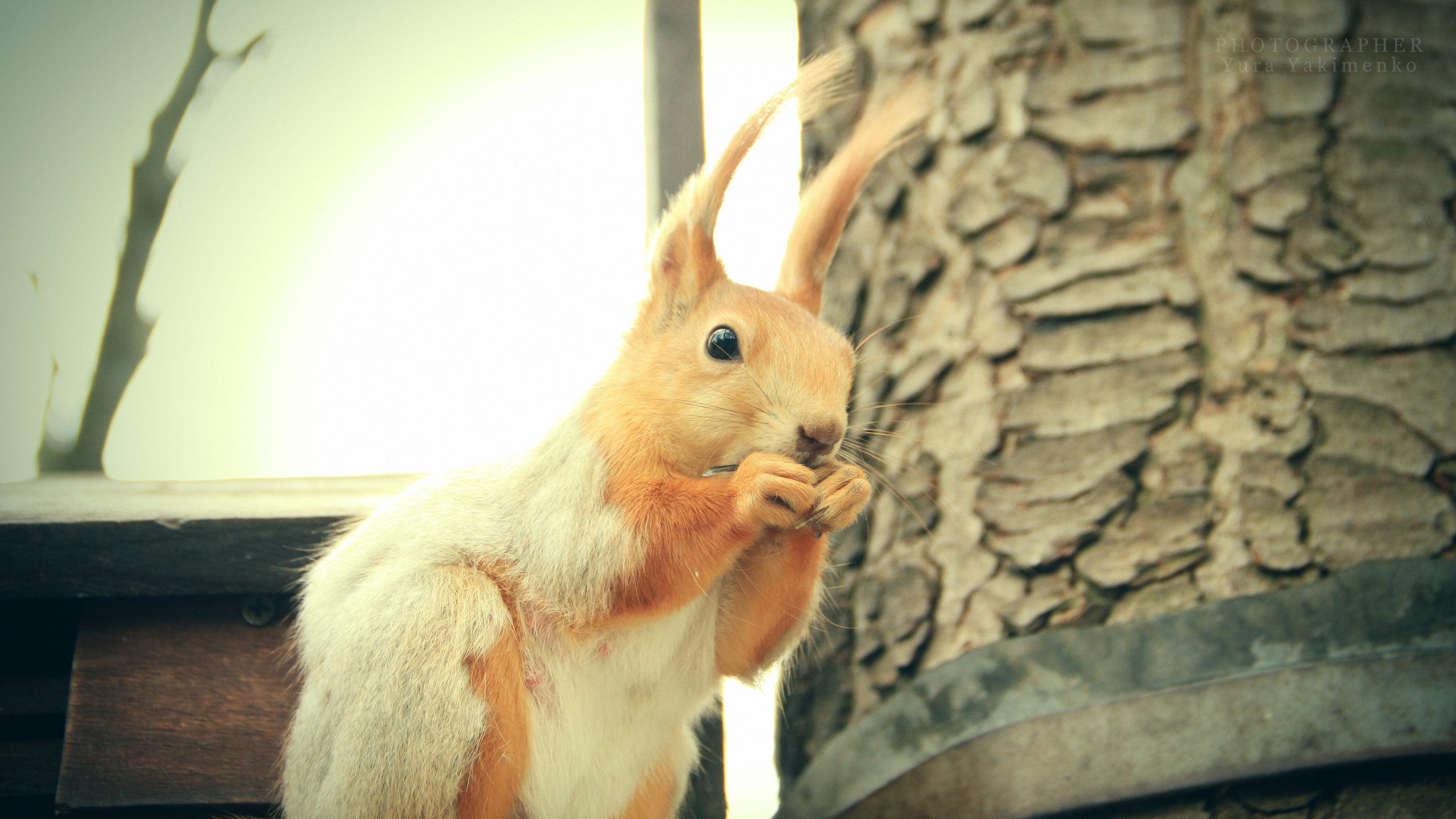 ✓ Природные красоты. Фотограф Юрий Якименко. Школьный, семейный и свадебный фотограф в Гоме