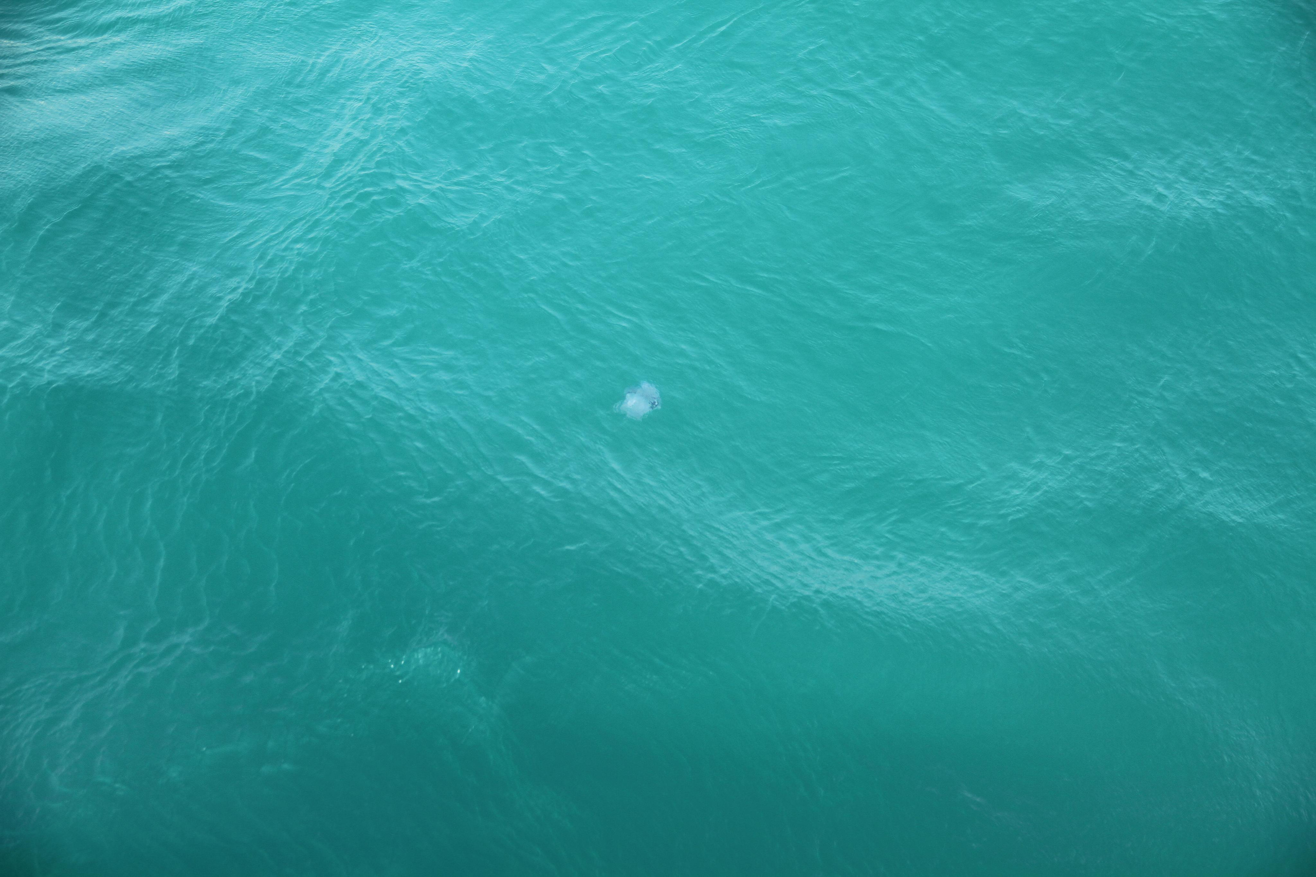 ✓ Природные красоты. Фотограф Юрий Якименко. Школьный, семейный и свадебный фотограф в Гоме