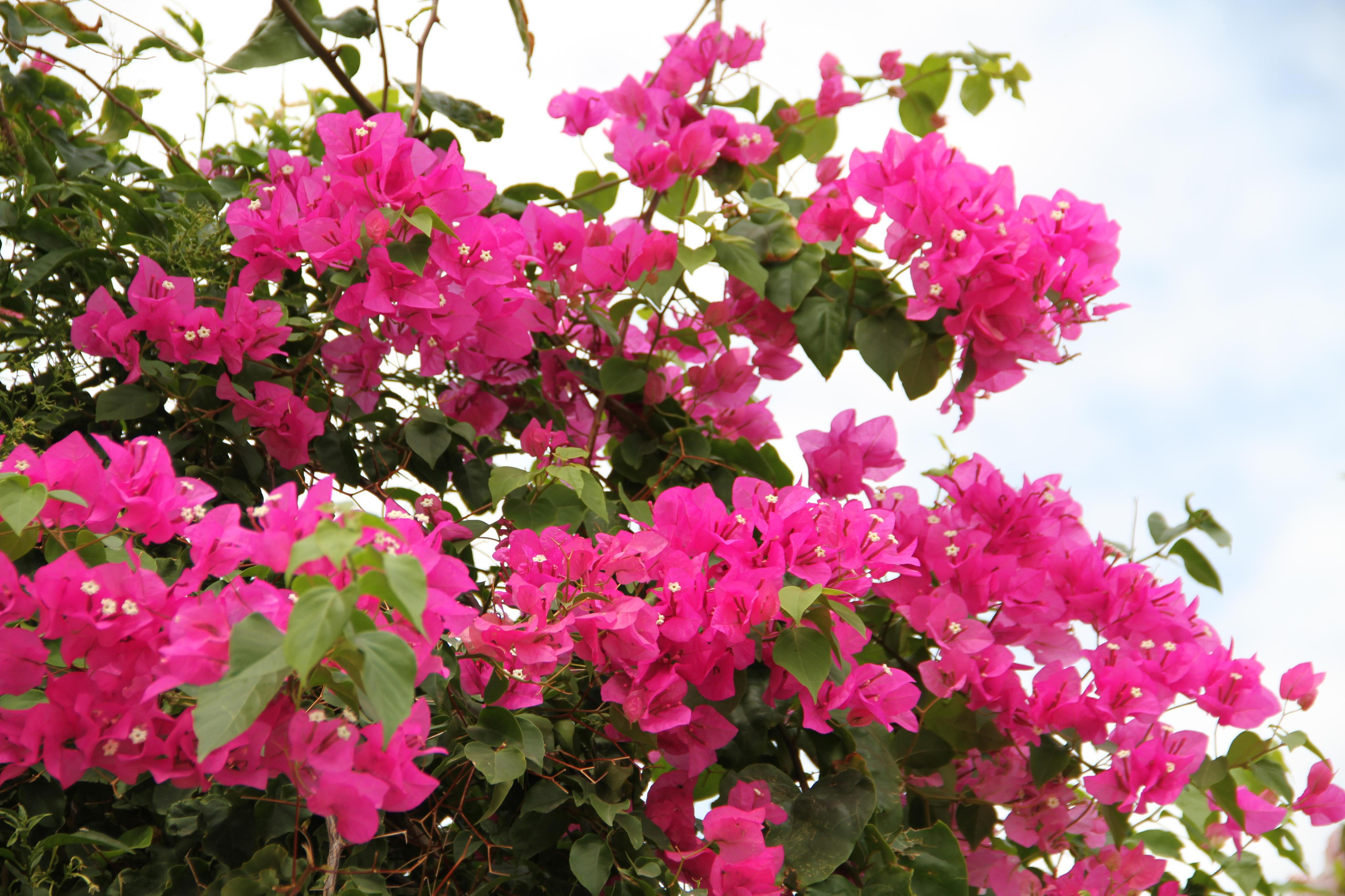 ✓ Природные красоты. Фотограф Юрий Якименко. Школьный, семейный и свадебный фотограф в Гоме