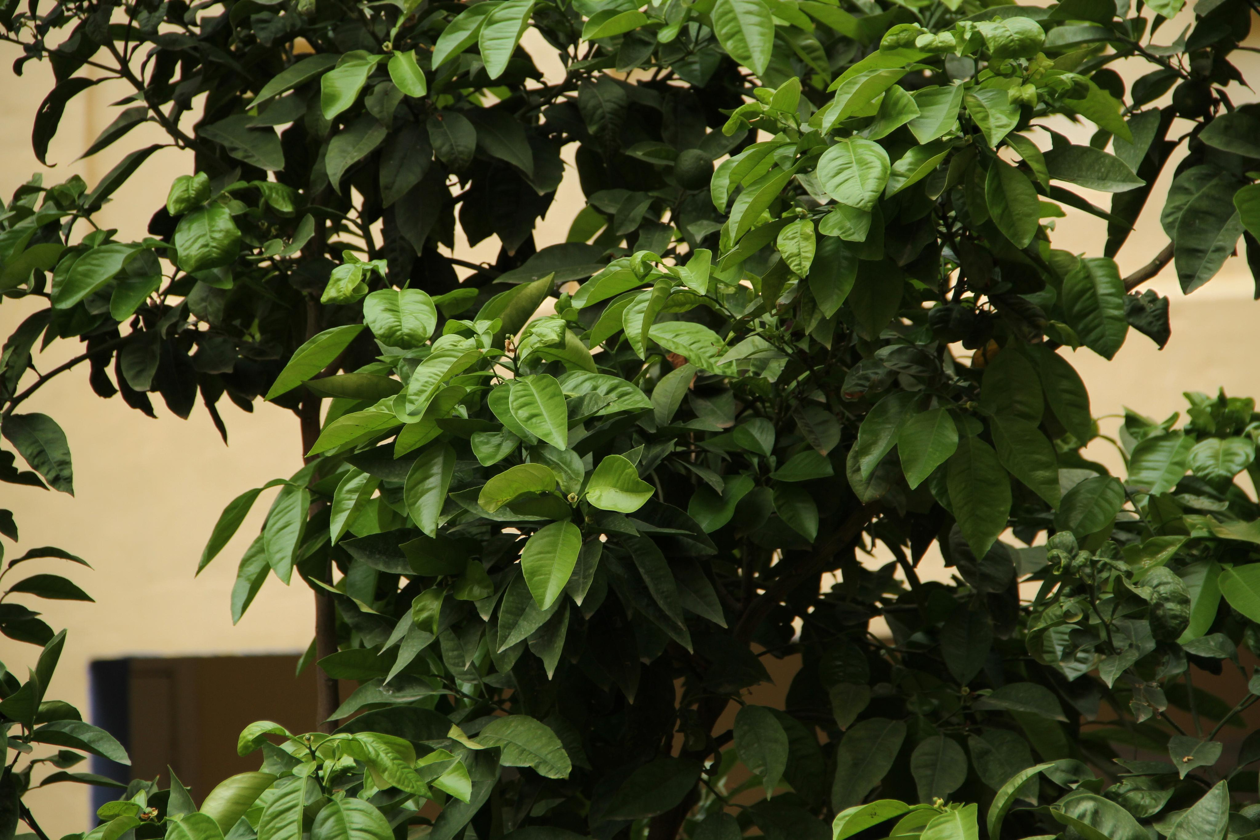 ✓ Природные красоты. Фотограф Юрий Якименко. Школьный, семейный и свадебный фотограф в Гоме