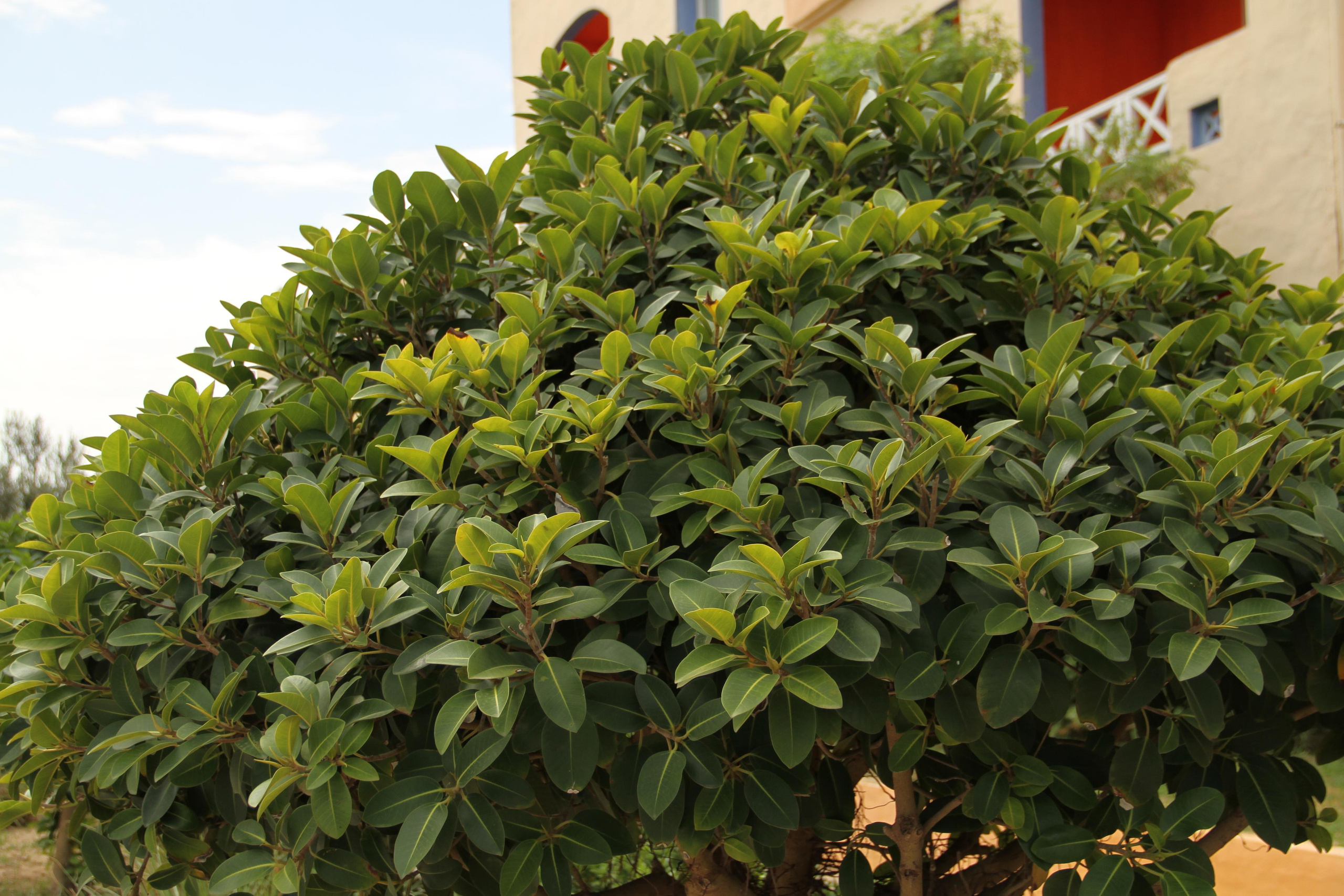 ✓ Природные красоты. Фотограф Юрий Якименко. Школьный, семейный и свадебный фотограф в Гоме