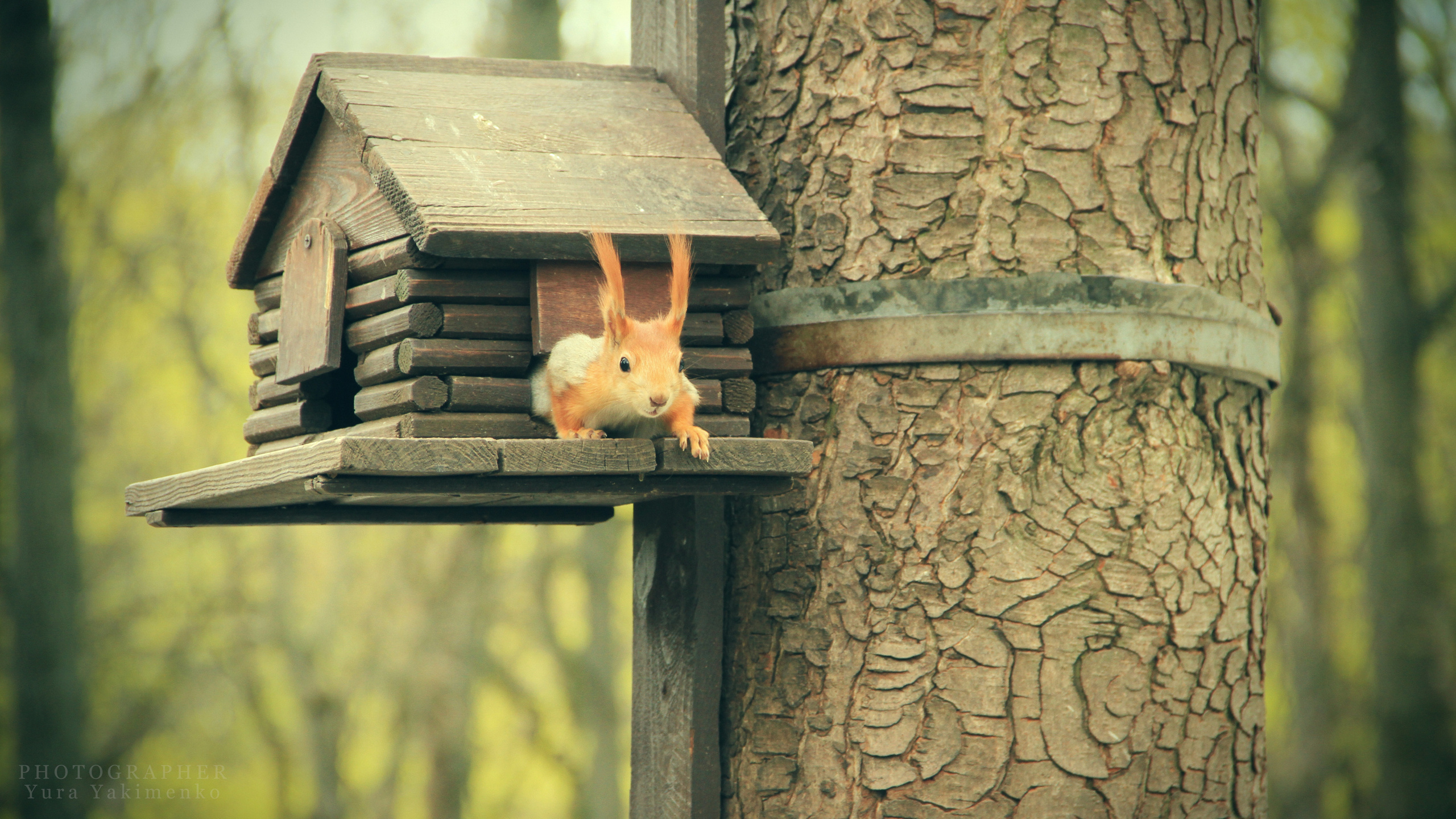 ✓ Природные красоты. Фотограф Юрий Якименко. Школьный, семейный и свадебный фотограф в Гоме