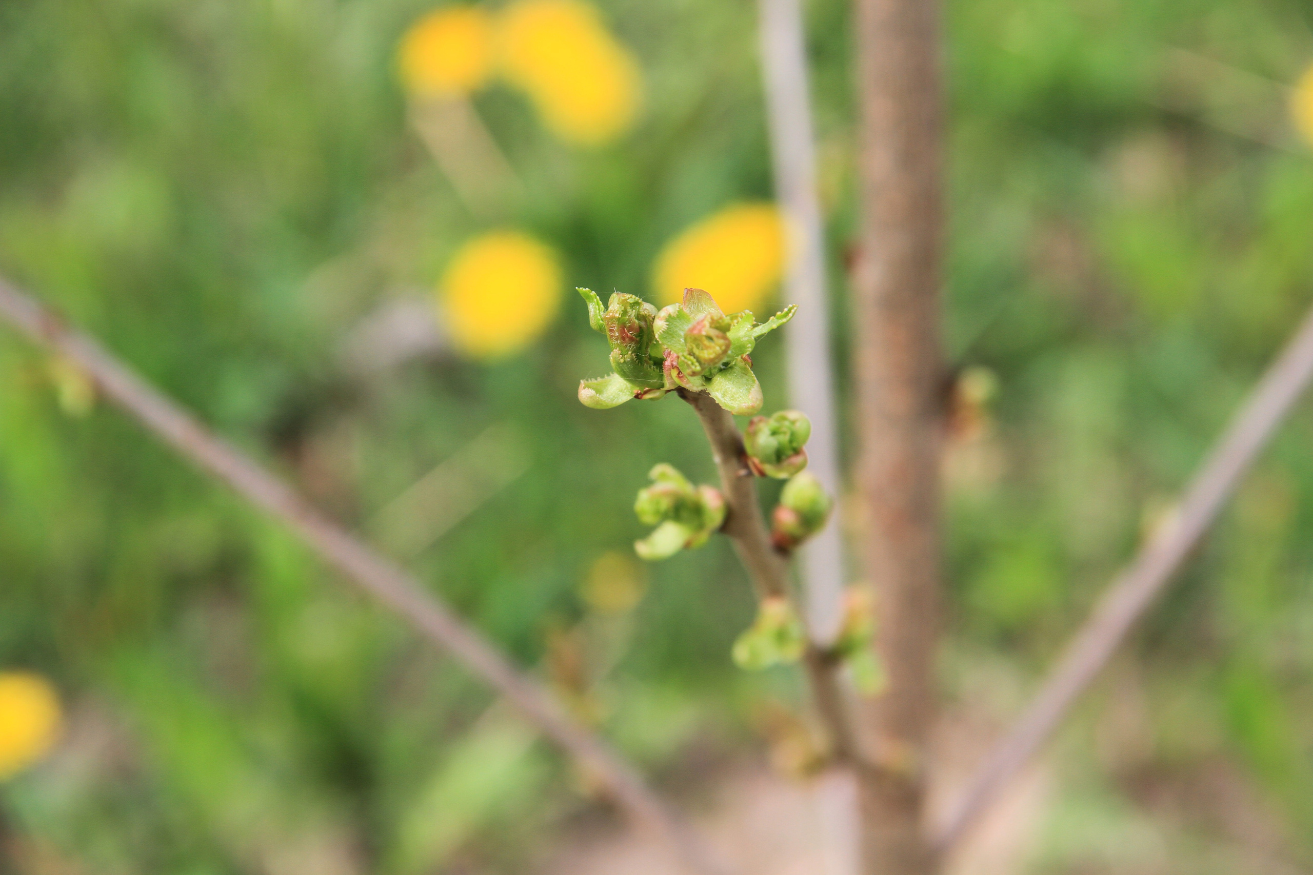 ✓ Природные красоты. Фотограф Юрий Якименко. Школьный, семейный и свадебный фотограф в Гоме