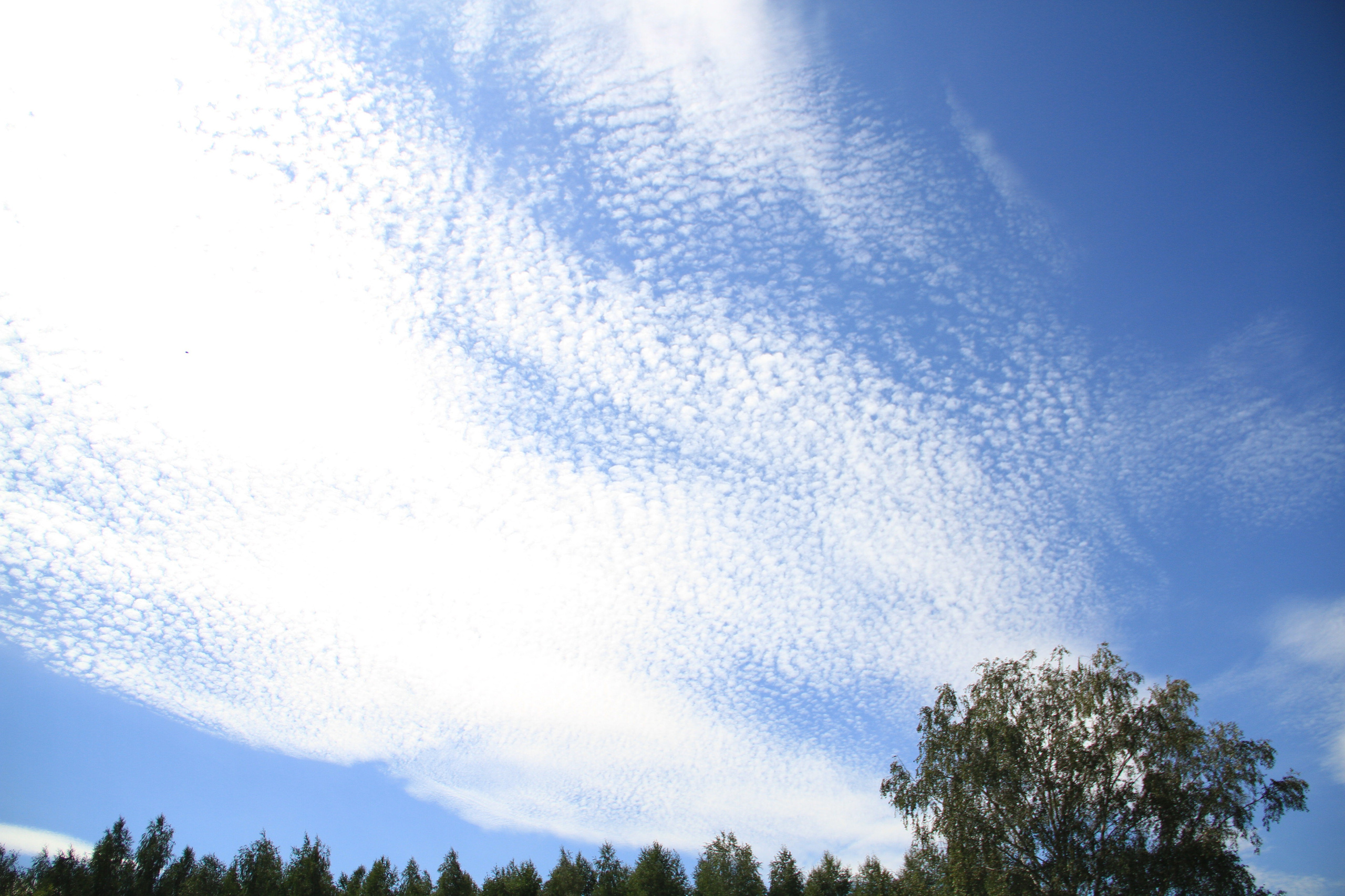 ✓ Природные красоты. Фотограф Юрий Якименко. Школьный, семейный и свадебный фотограф в Гоме