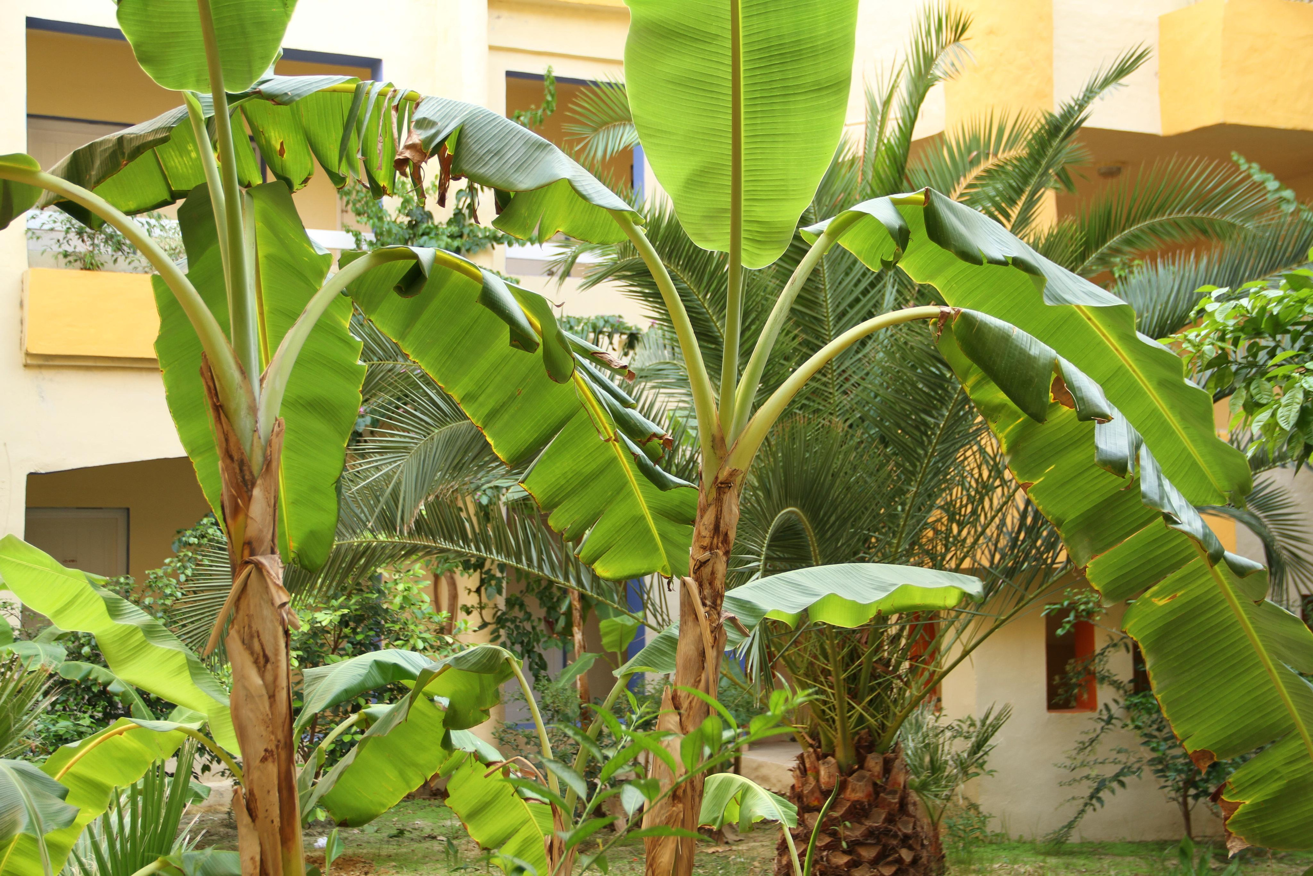 ✓ Природные красоты. Фотограф Юрий Якименко. Школьный, семейный и свадебный фотограф в Гоме