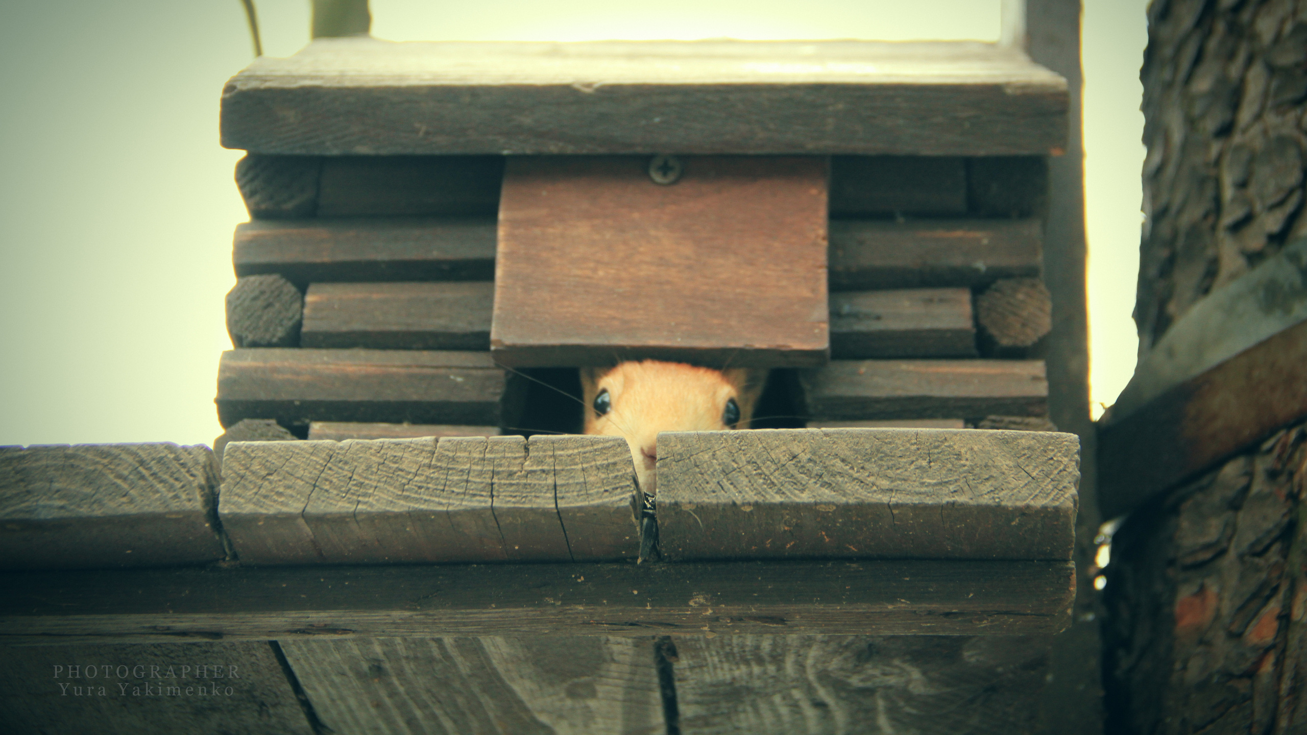 ✓ Природные красоты. Фотограф Юрий Якименко. Школьный, семейный и свадебный фотограф в Гоме