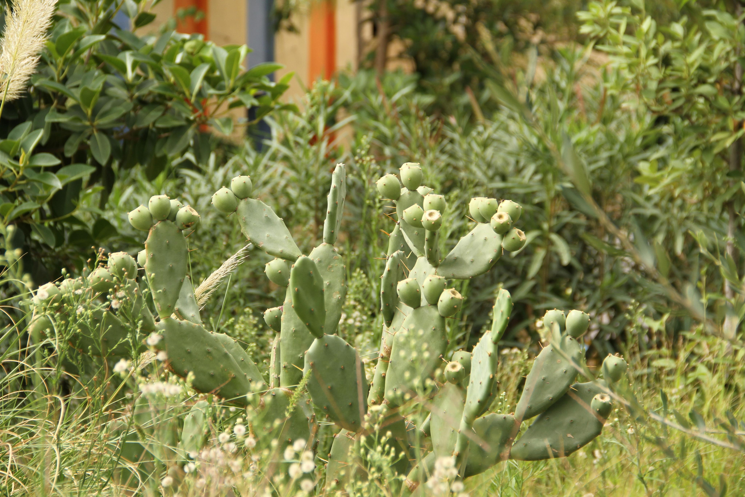 ✓ Природные красоты. Фотограф Юрий Якименко. Школьный, семейный и свадебный фотограф в Гоме