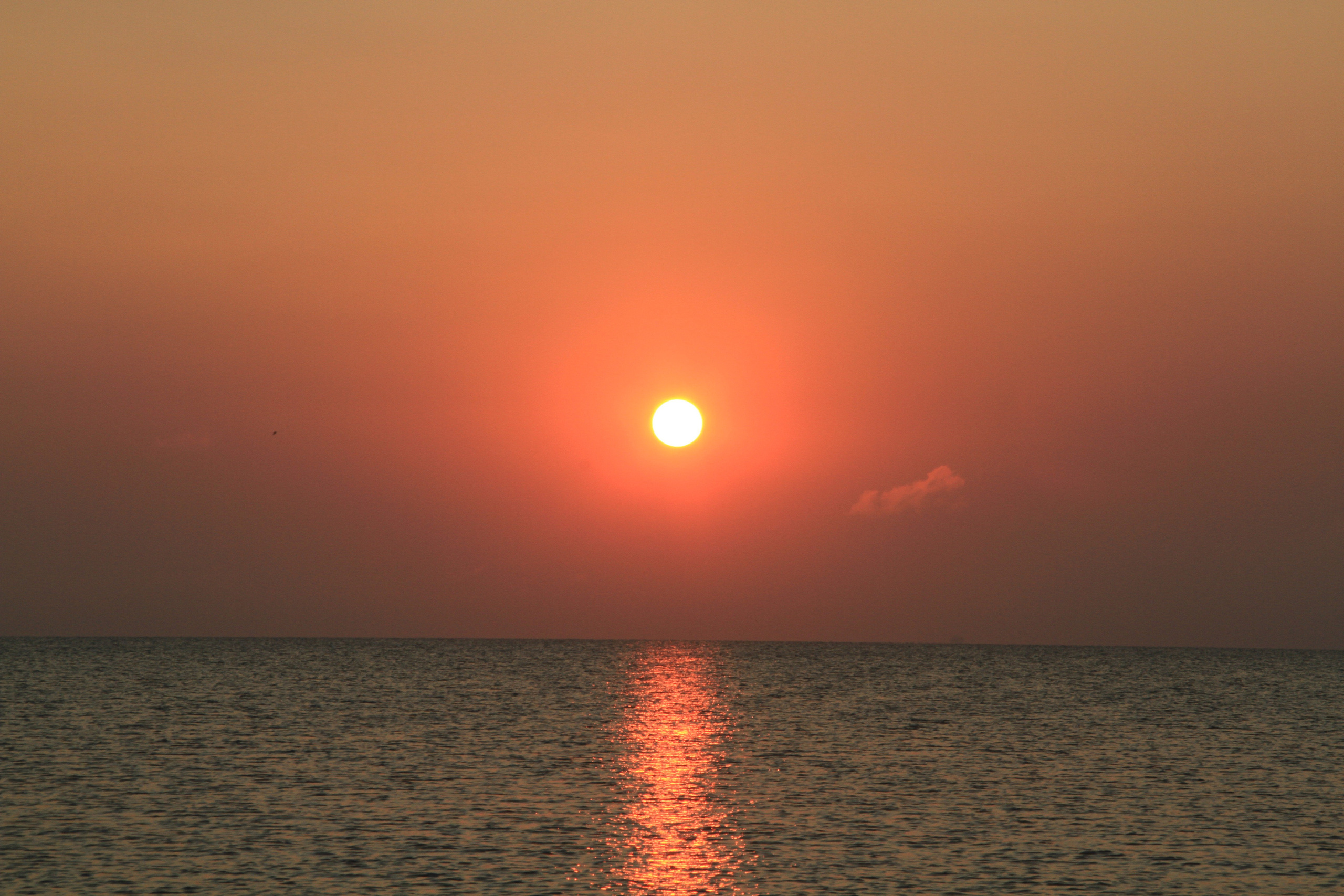 ✓ Природные красоты. Фотограф Юрий Якименко. Школьный, семейный и свадебный фотограф в Гоме