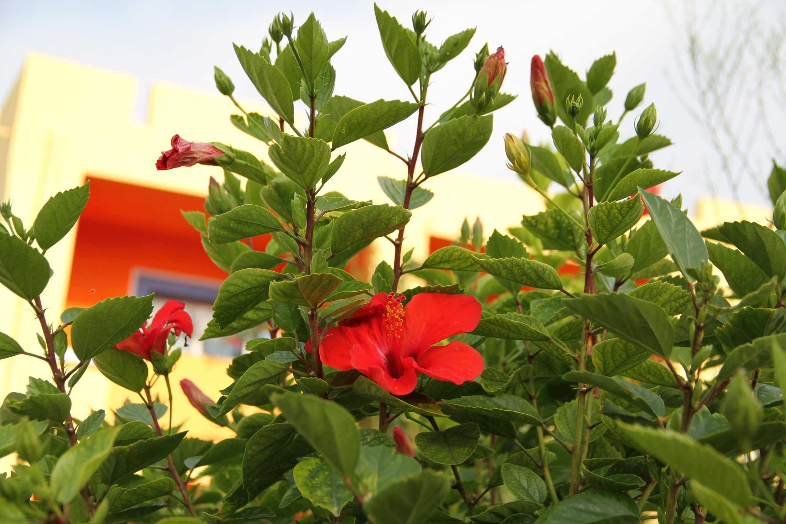 ✓ Природные красоты. Фотограф Юрий Якименко. Школьный, семейный и свадебный фотограф в Гоме