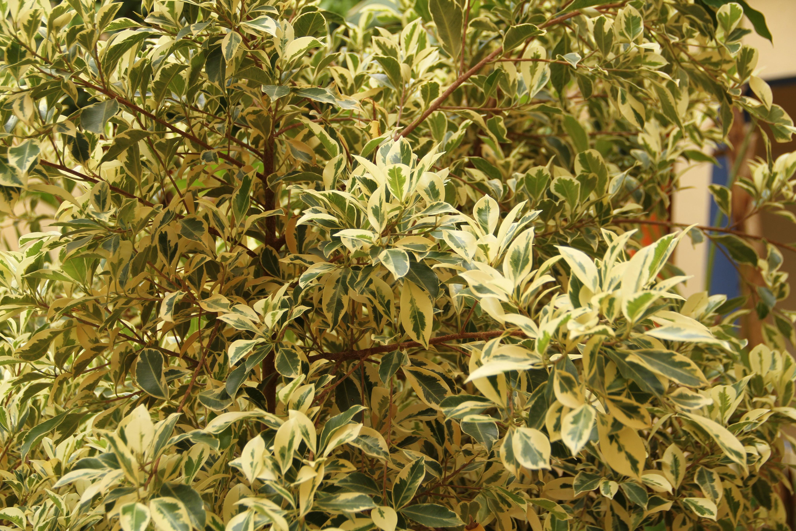 ✓ Природные красоты. Фотограф Юрий Якименко. Школьный, семейный и свадебный фотограф в Гоме