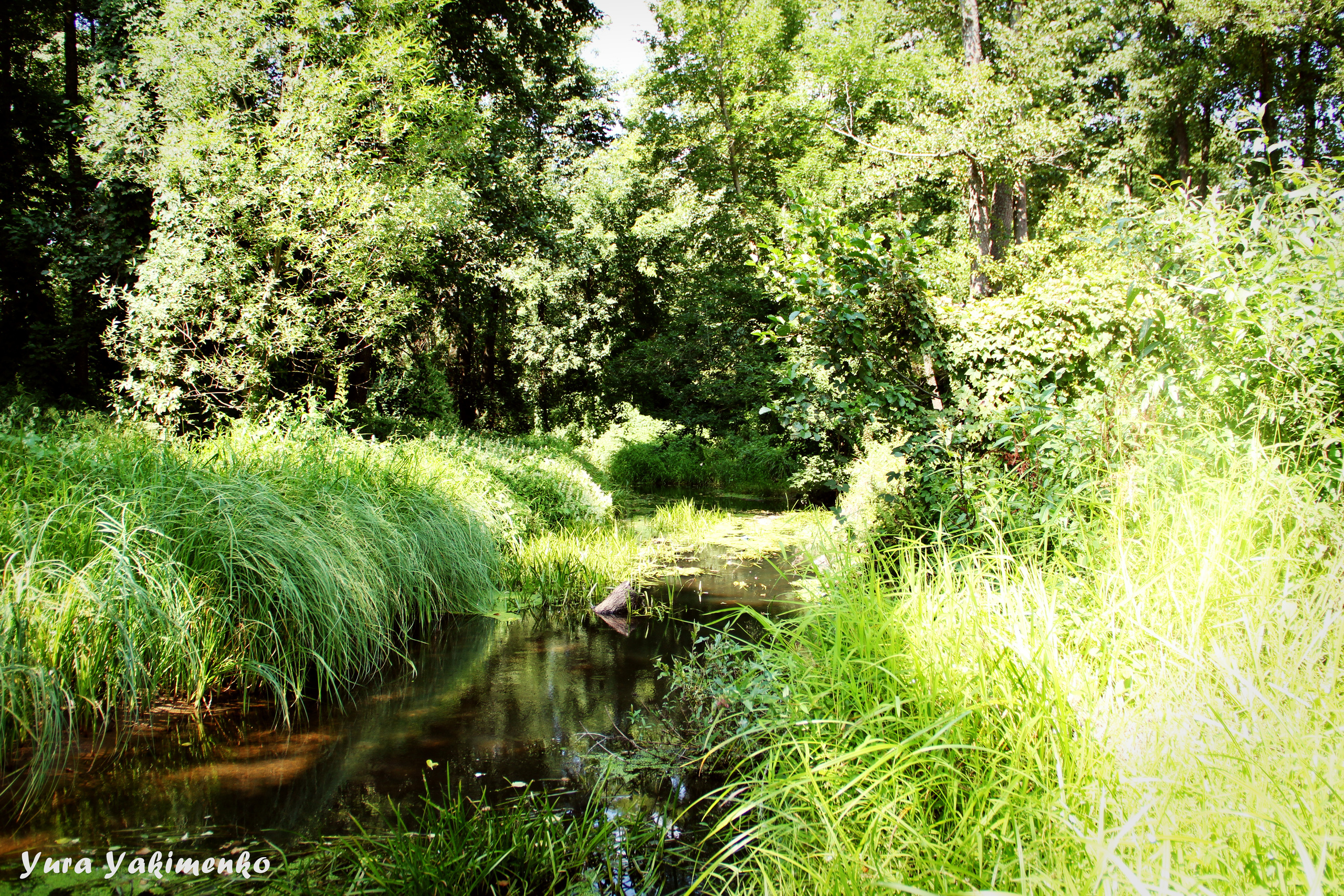 ✓ Природные красоты. Фотограф Юрий Якименко. Школьный, семейный и свадебный фотограф в Гоме