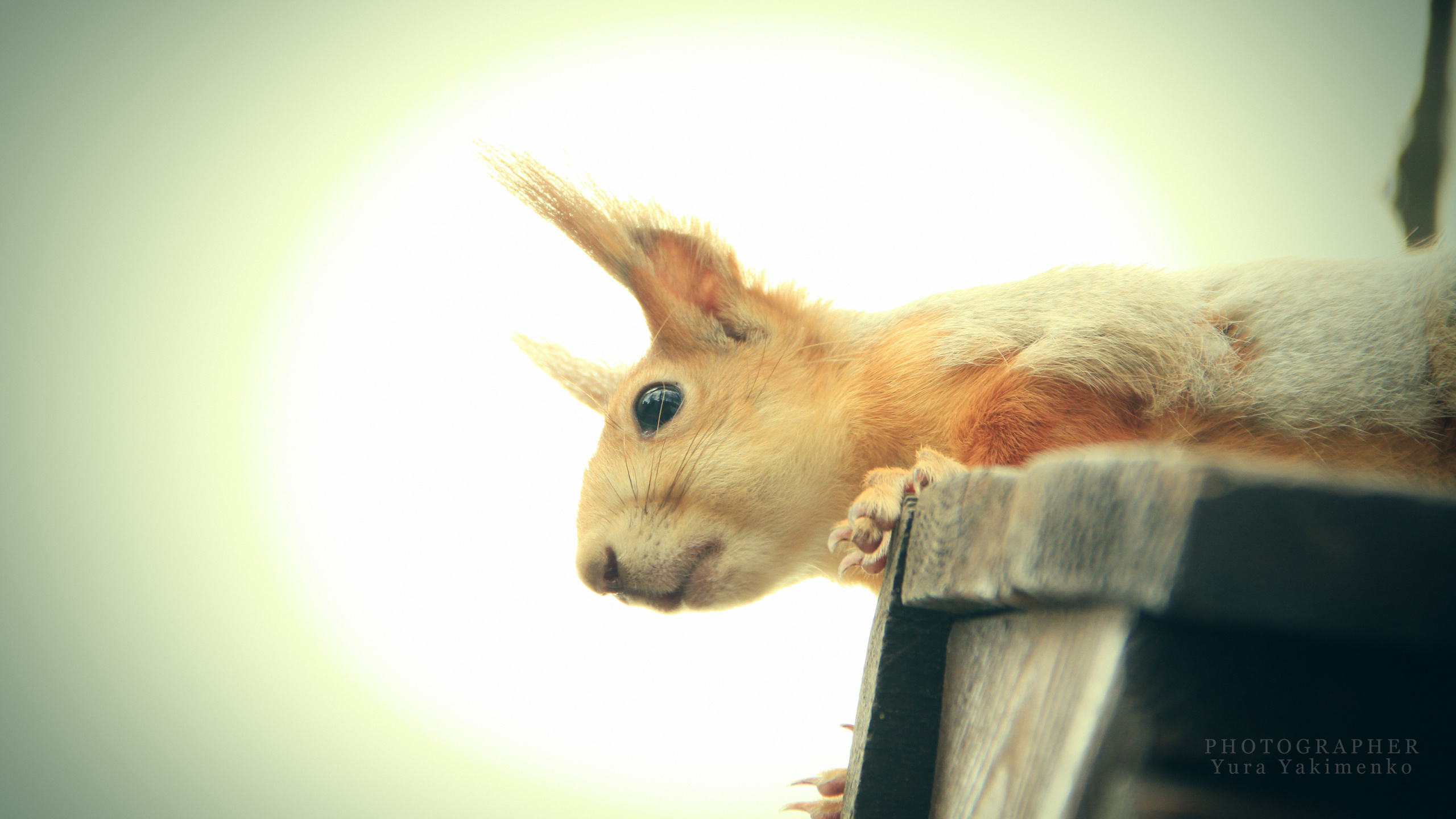 ✓ Природные красоты. Фотограф Юрий Якименко. Школьный, семейный и свадебный фотограф в Гоме