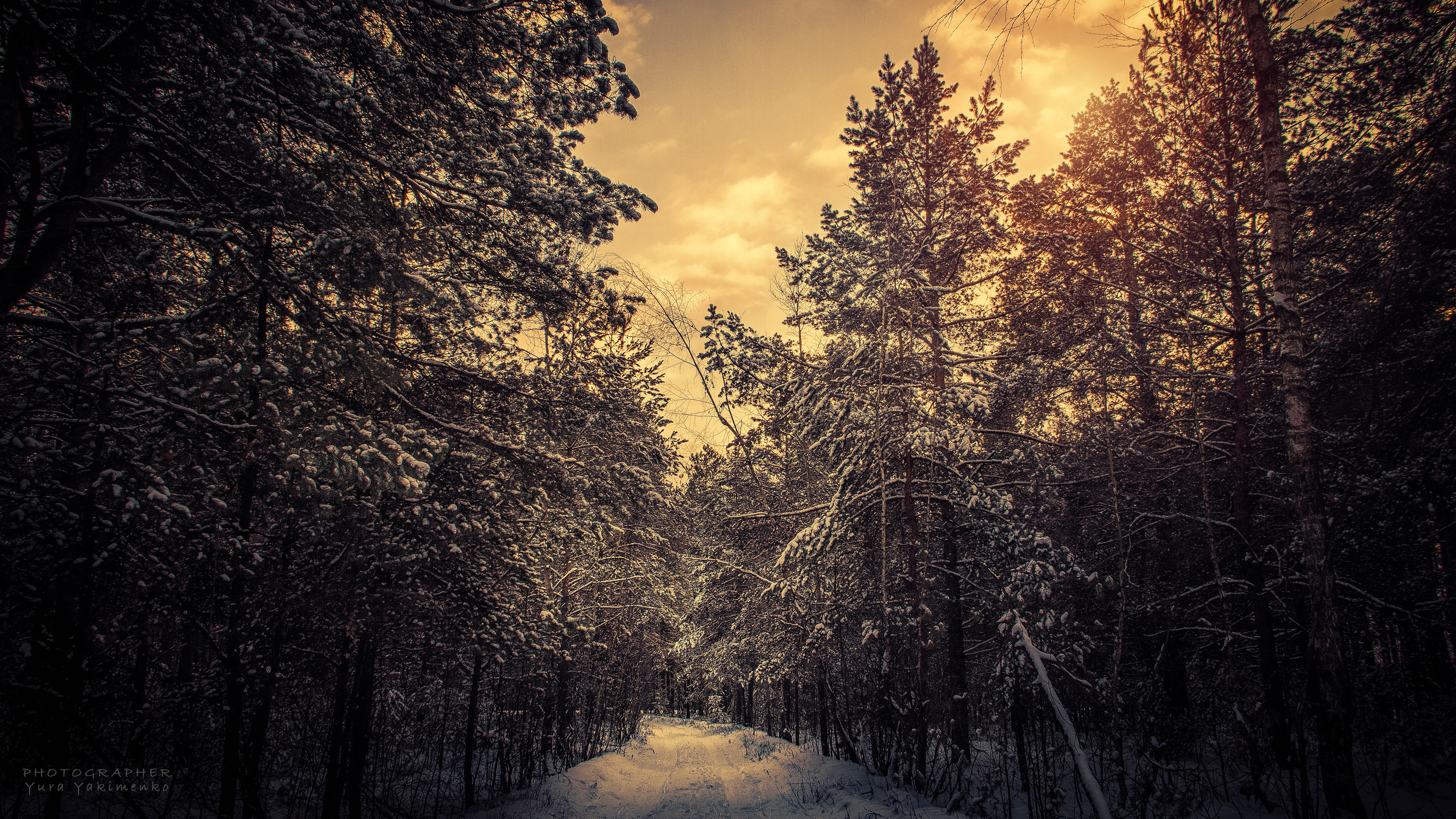 ✓ Природные красоты. Фотограф Юрий Якименко. Школьный, семейный и свадебный фотограф в Гоме
