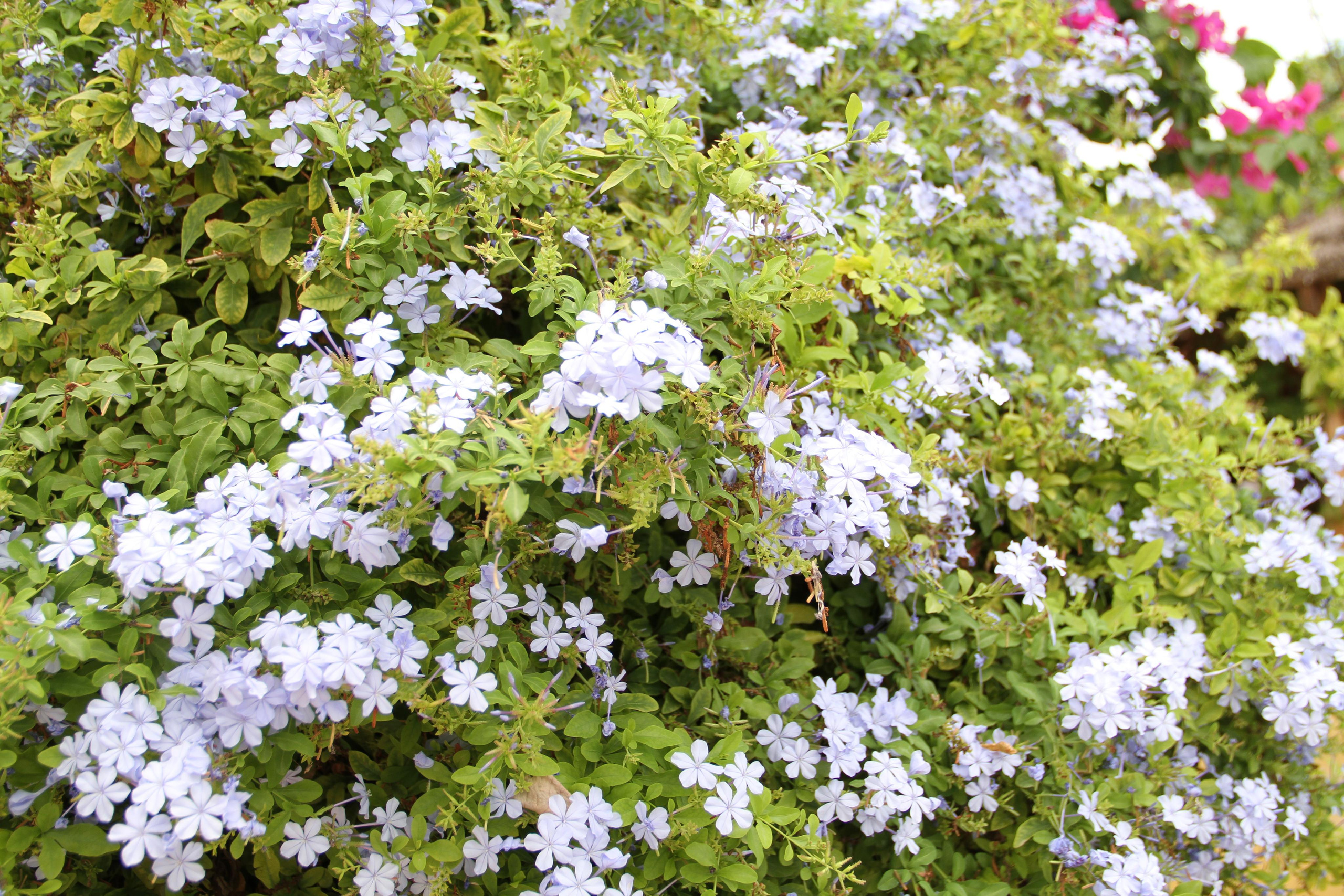 ✓ Природные красоты. Фотограф Юрий Якименко. Школьный, семейный и свадебный фотограф в Гоме