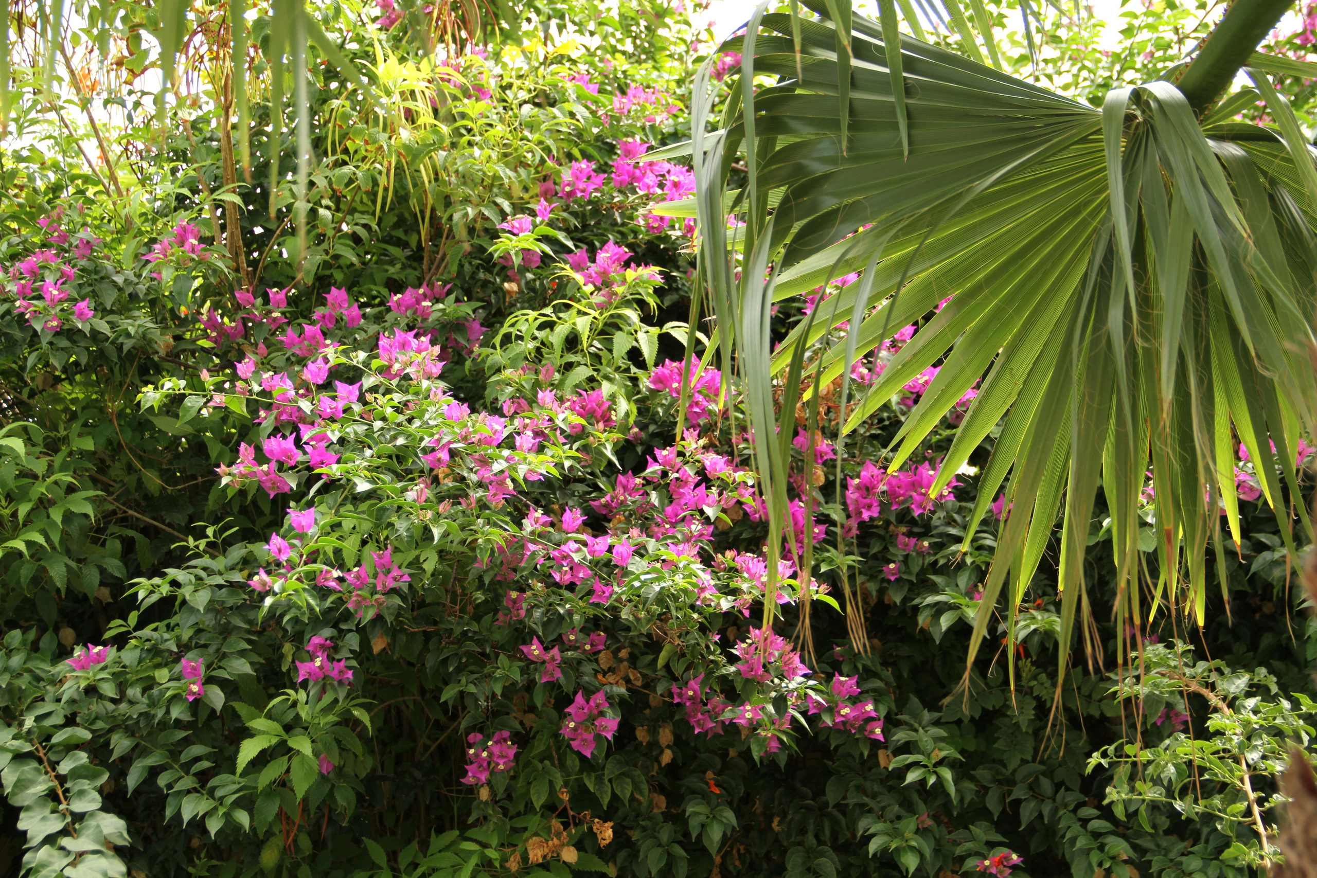 ✓ Природные красоты. Фотограф Юрий Якименко. Школьный, семейный и свадебный фотограф в Гоме