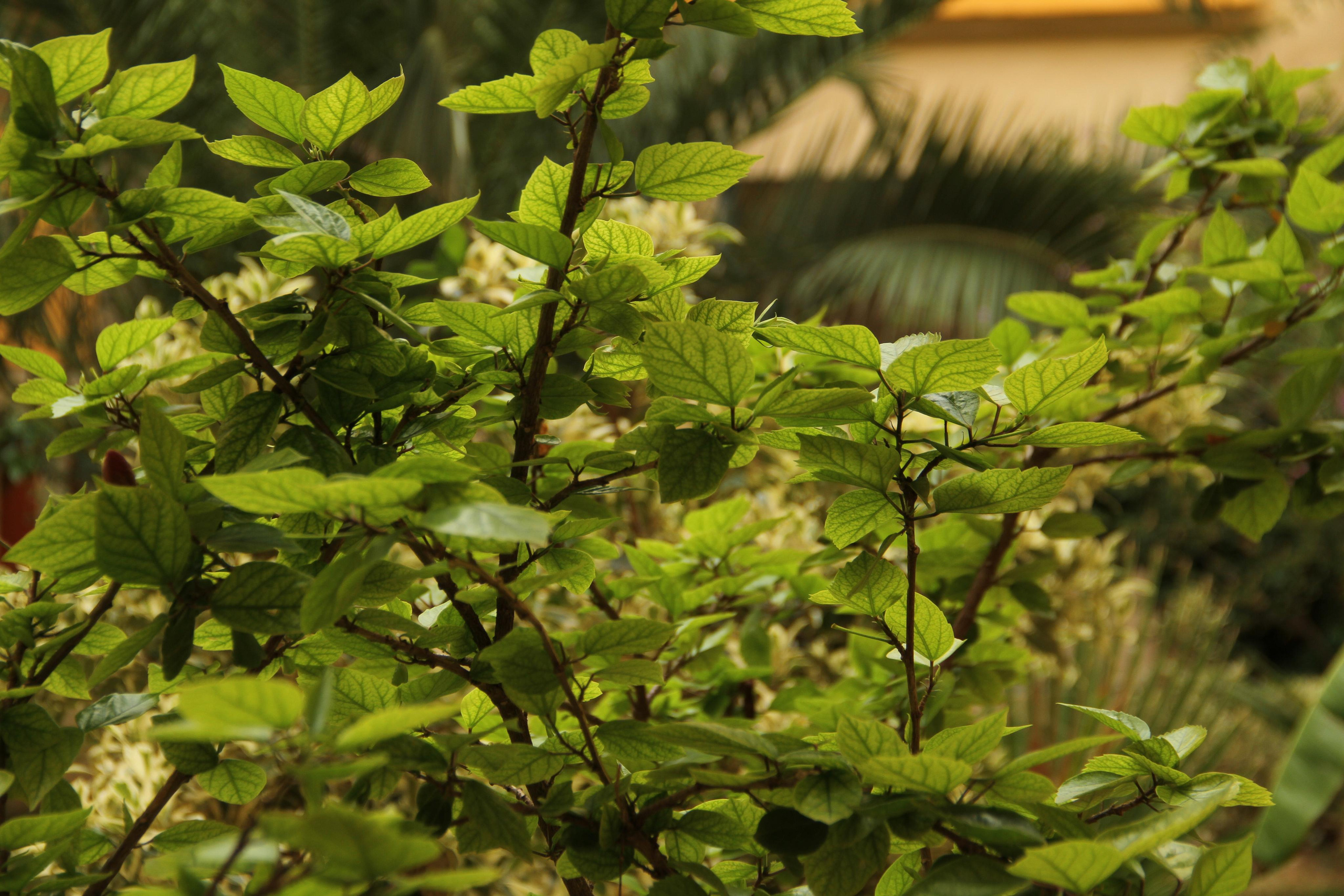 ✓ Природные красоты. Фотограф Юрий Якименко. Школьный, семейный и свадебный фотограф в Гоме