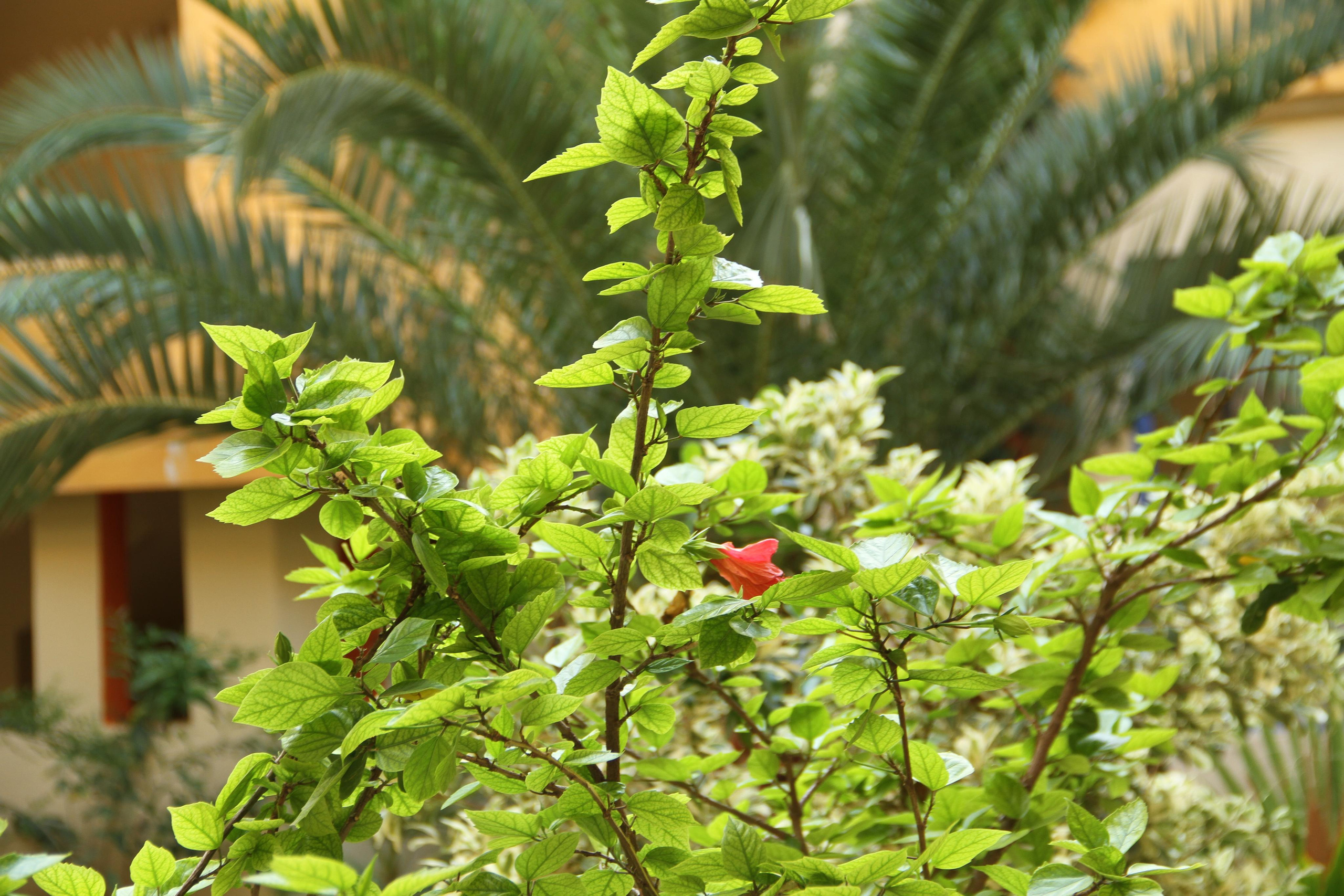 ✓ Природные красоты. Фотограф Юрий Якименко. Школьный, семейный и свадебный фотограф в Гоме