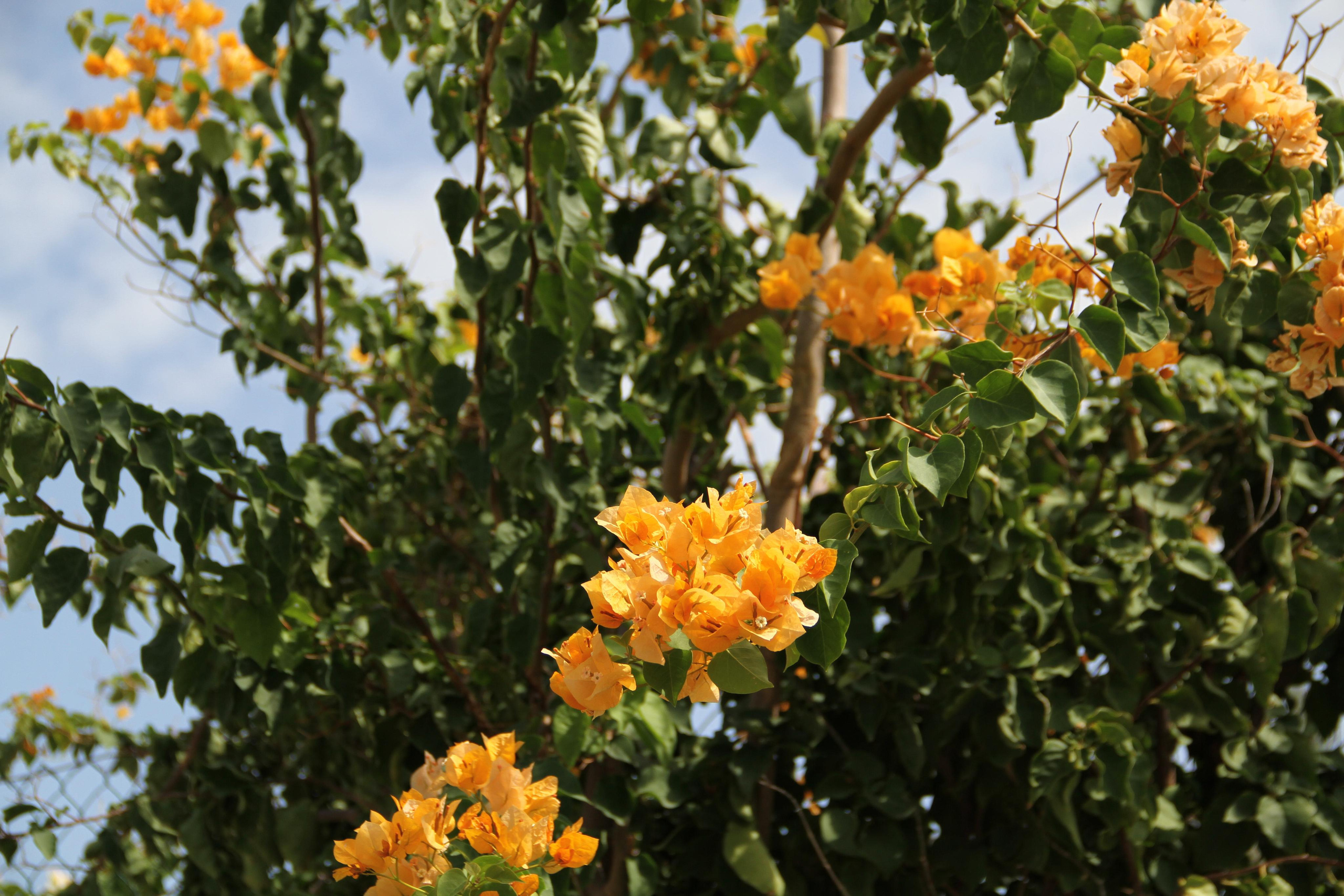 ✓ Природные красоты. Фотограф Юрий Якименко. Школьный, семейный и свадебный фотограф в Гоме