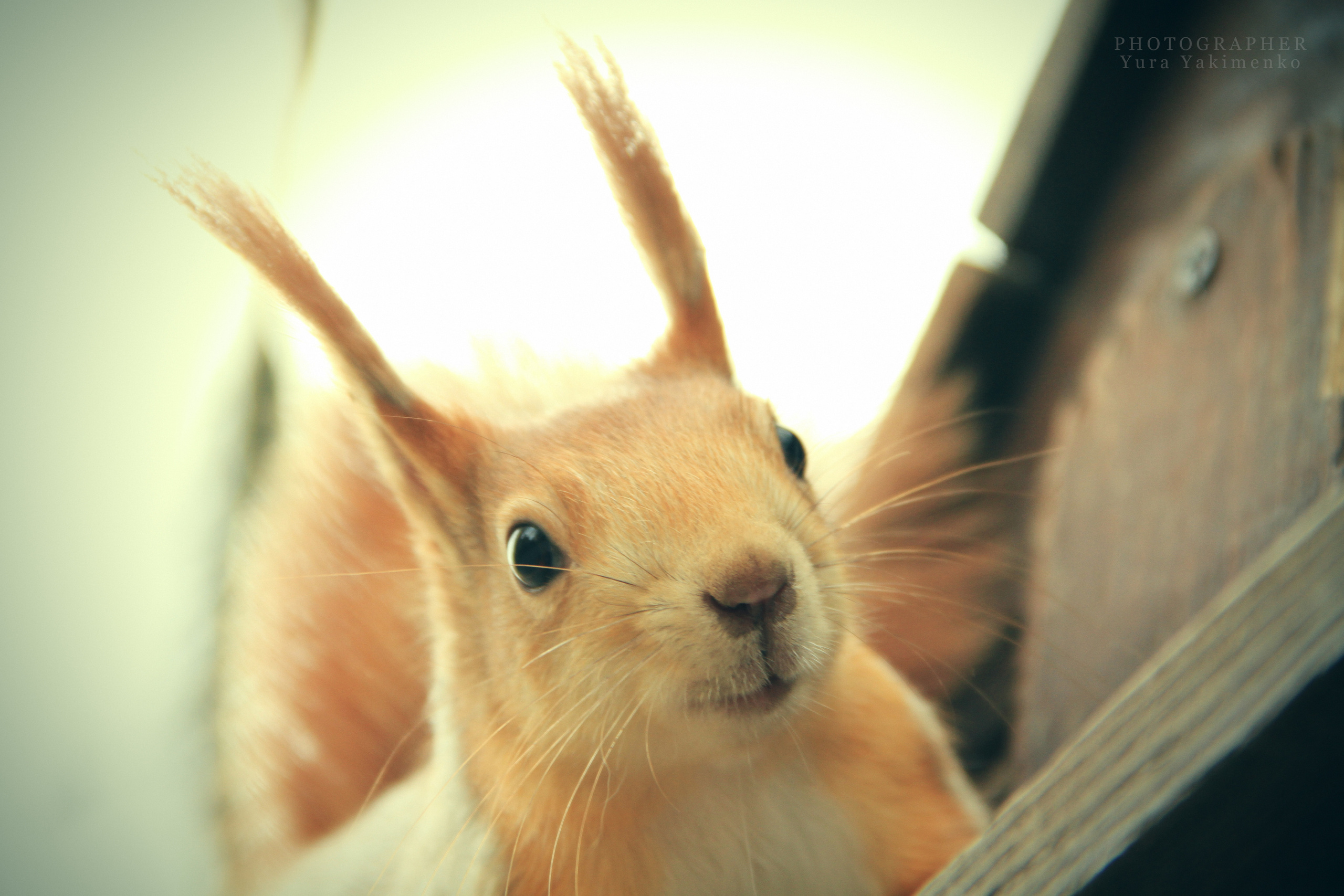 ✓ Природные красоты. Фотограф Юрий Якименко. Школьный, семейный и свадебный фотограф в Гоме