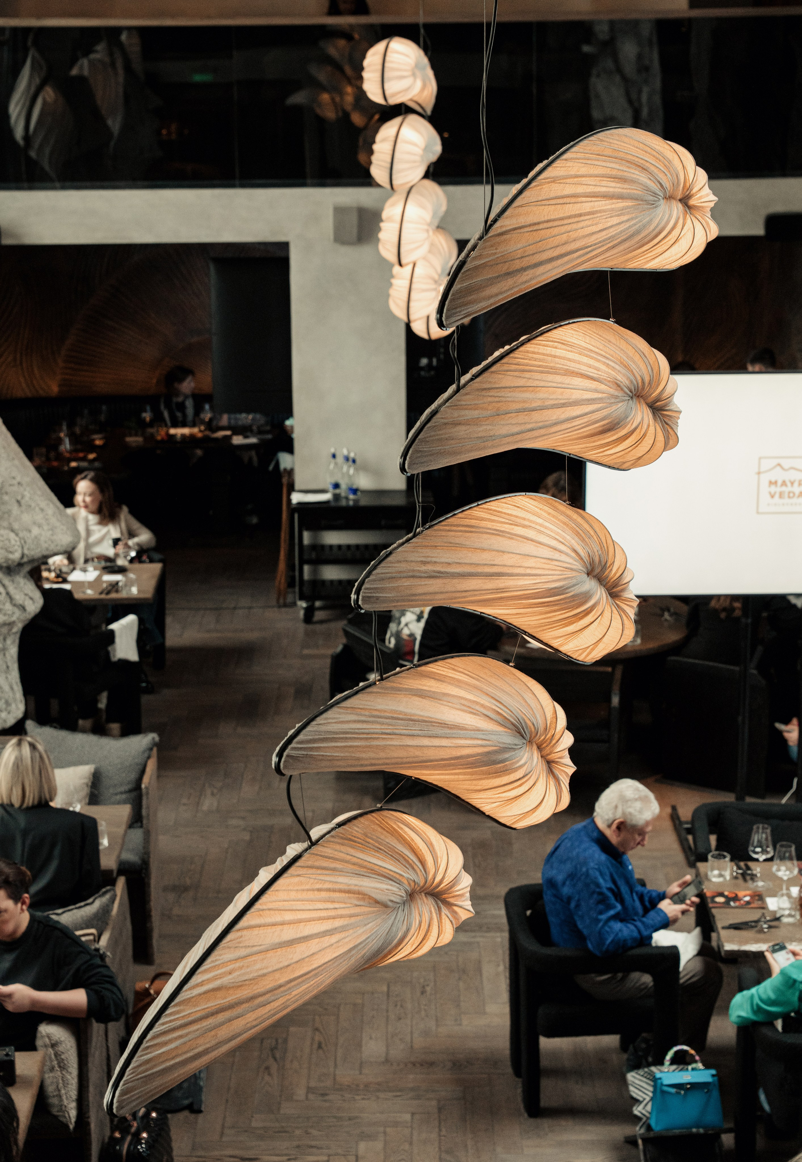 MAYR VEDA. Yankovski_001