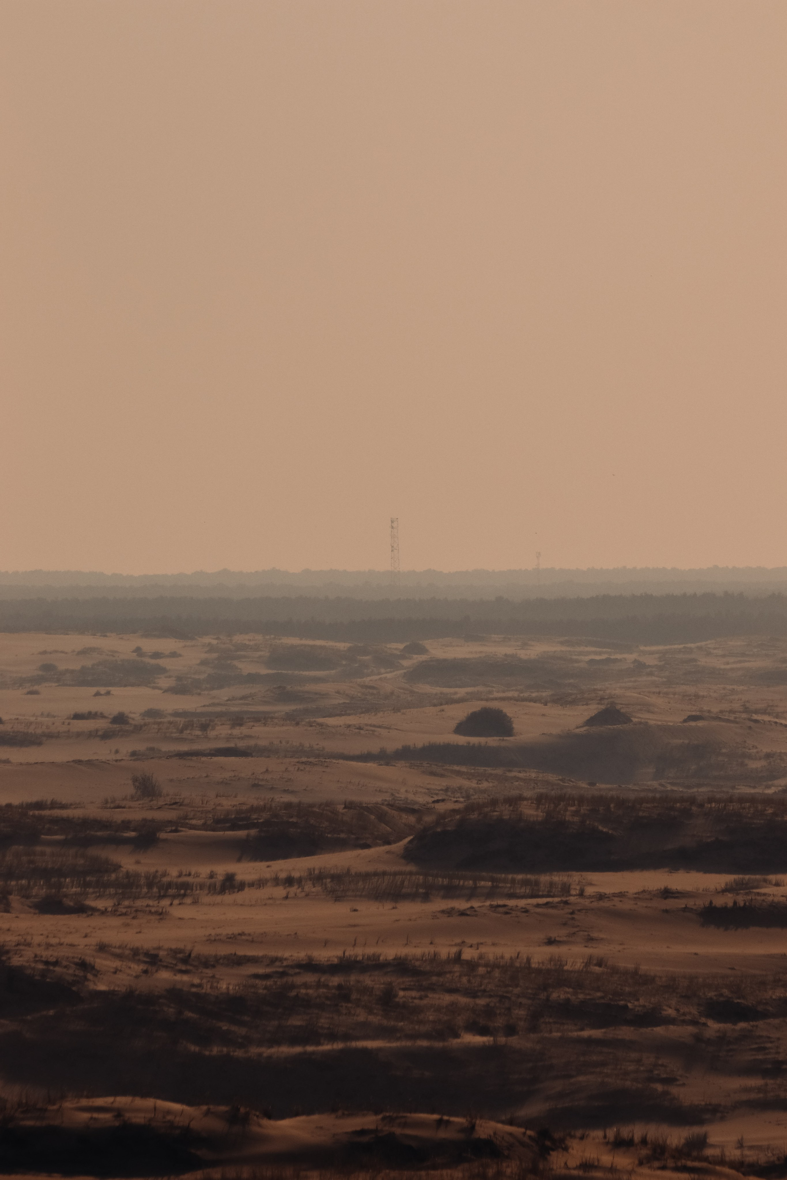 С Е П И Я. — Digital Noise —