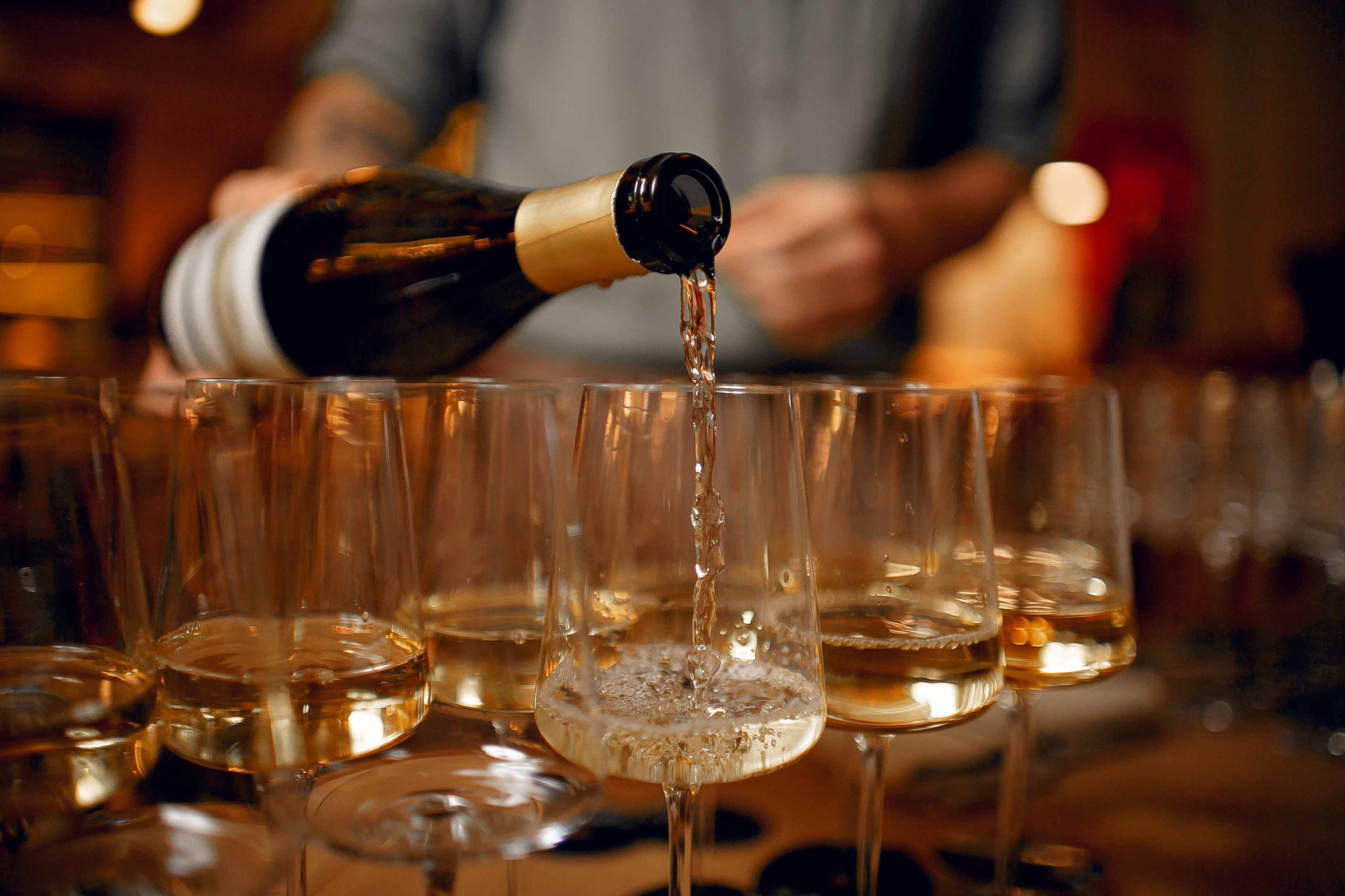 Гастроужин в «Остерия Лючия». Ваш репортажный фотограф Артемий Антонов