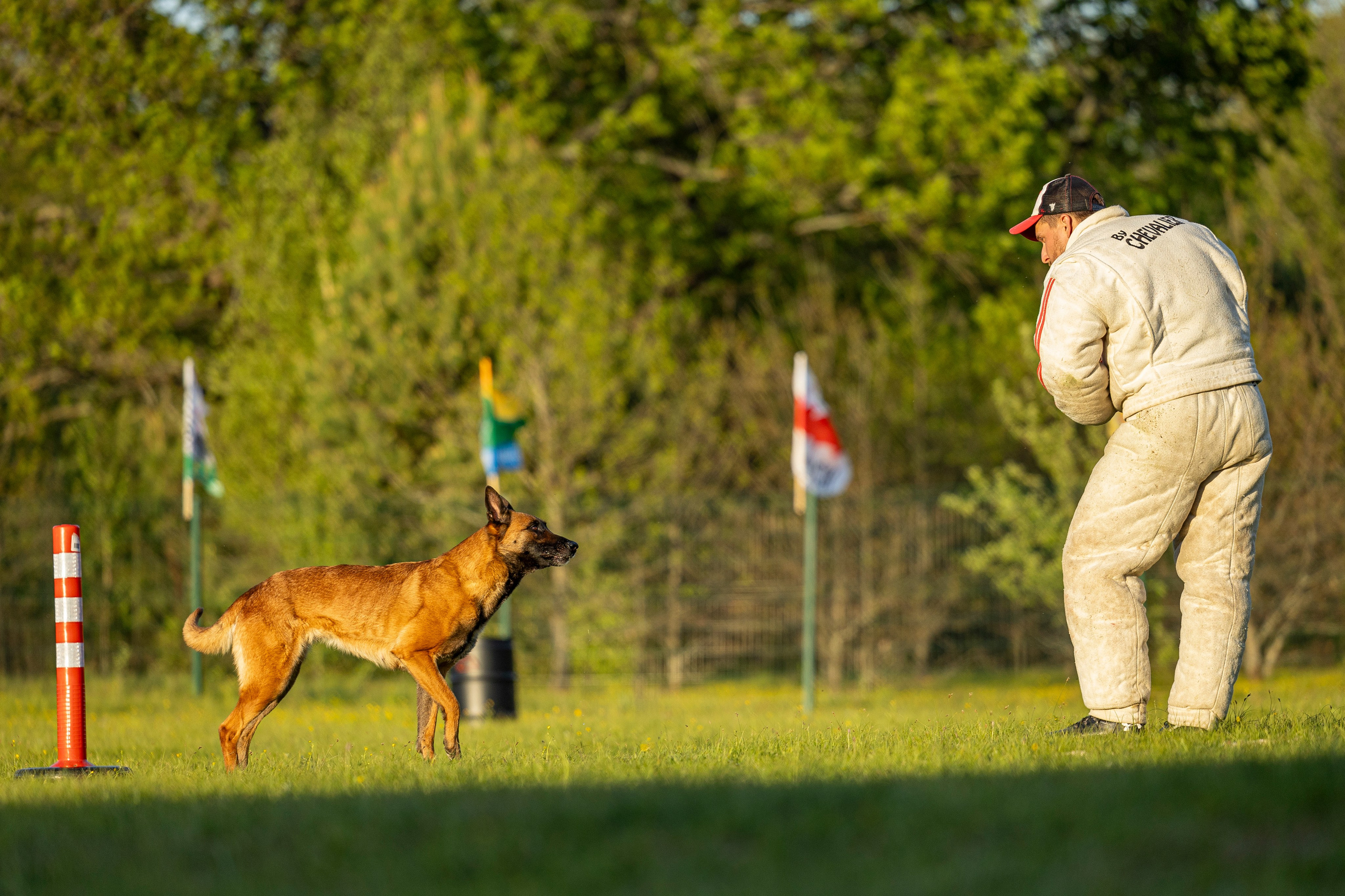 Испытания по мондьорингу в Нижнем Новгороде. Фотограф-анималист Анна Маринич