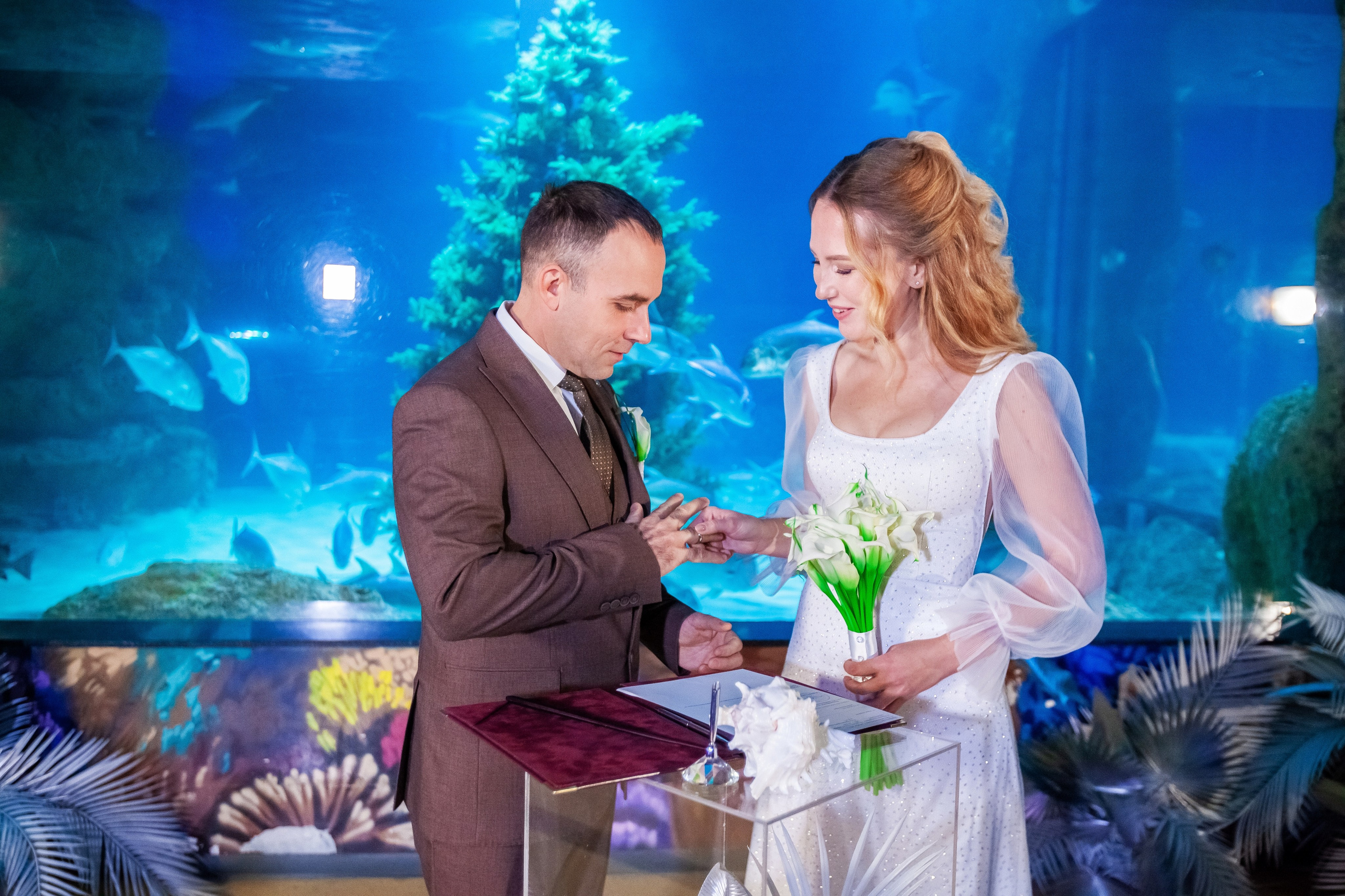 1-12-2023. Главная