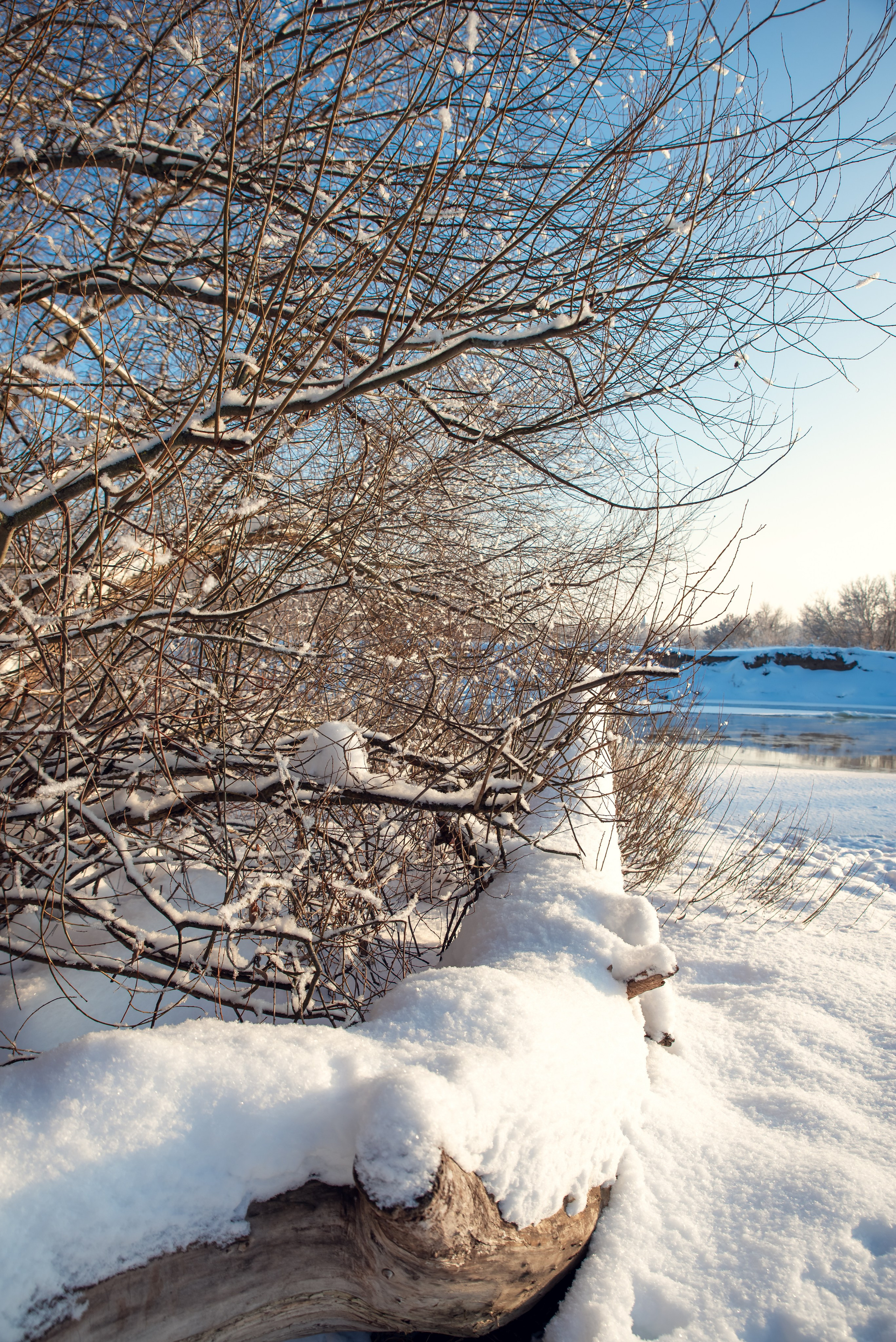 Зимушка зима. Фотограф Крещение Венчание Москва