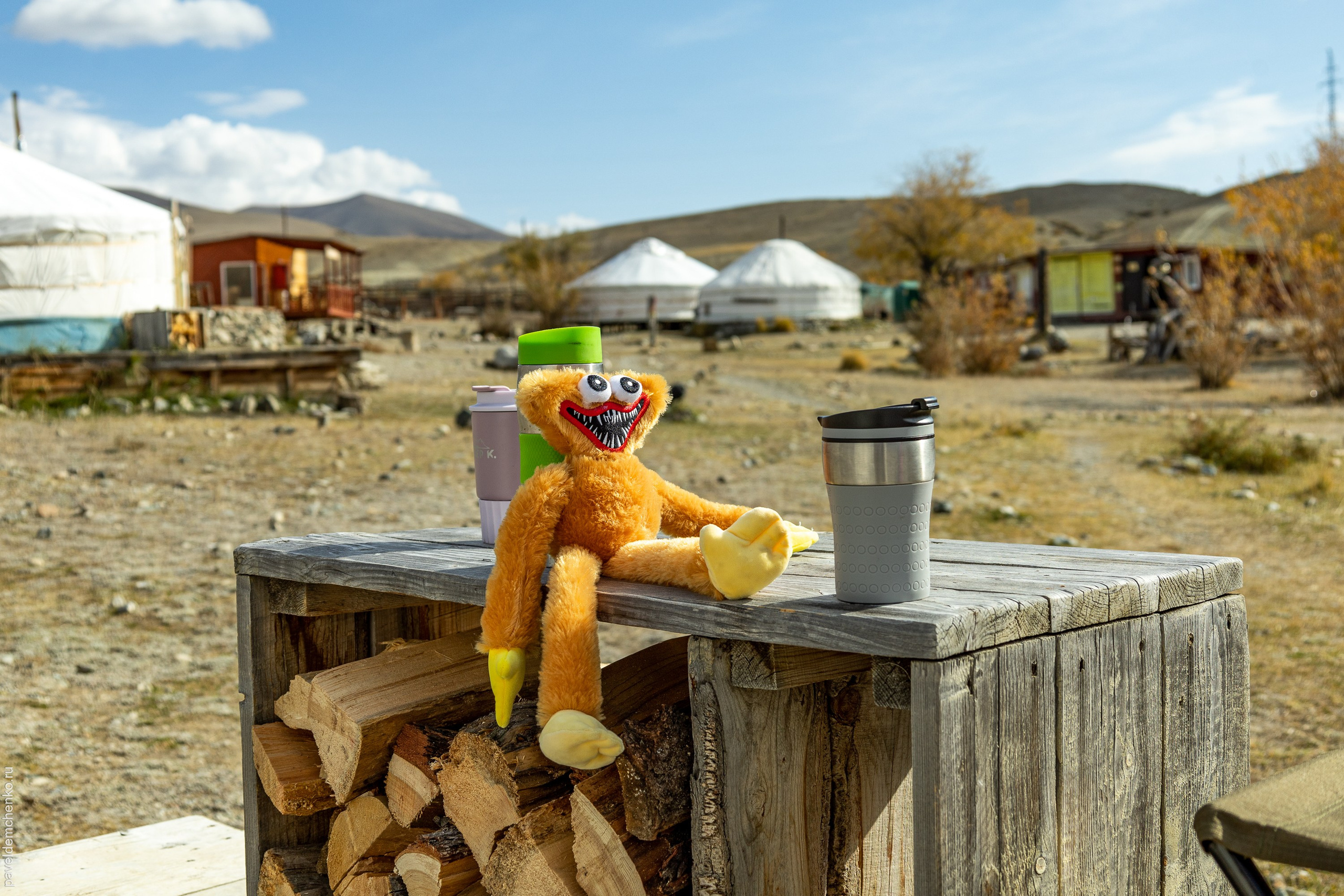 Осень в Горном Алтае 2024. Gennady Travel