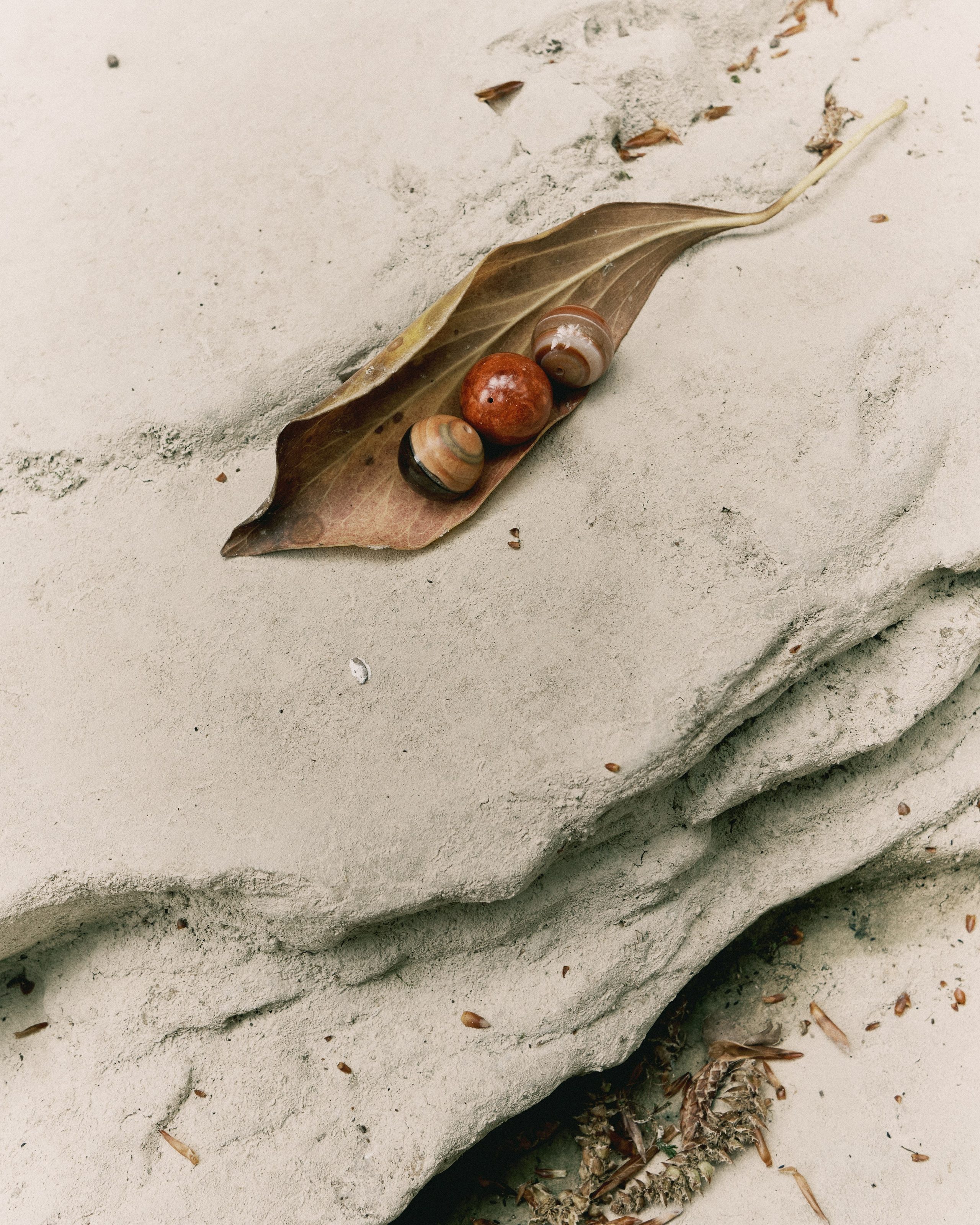 Content for OMNIS. DISEMICHASNOVA