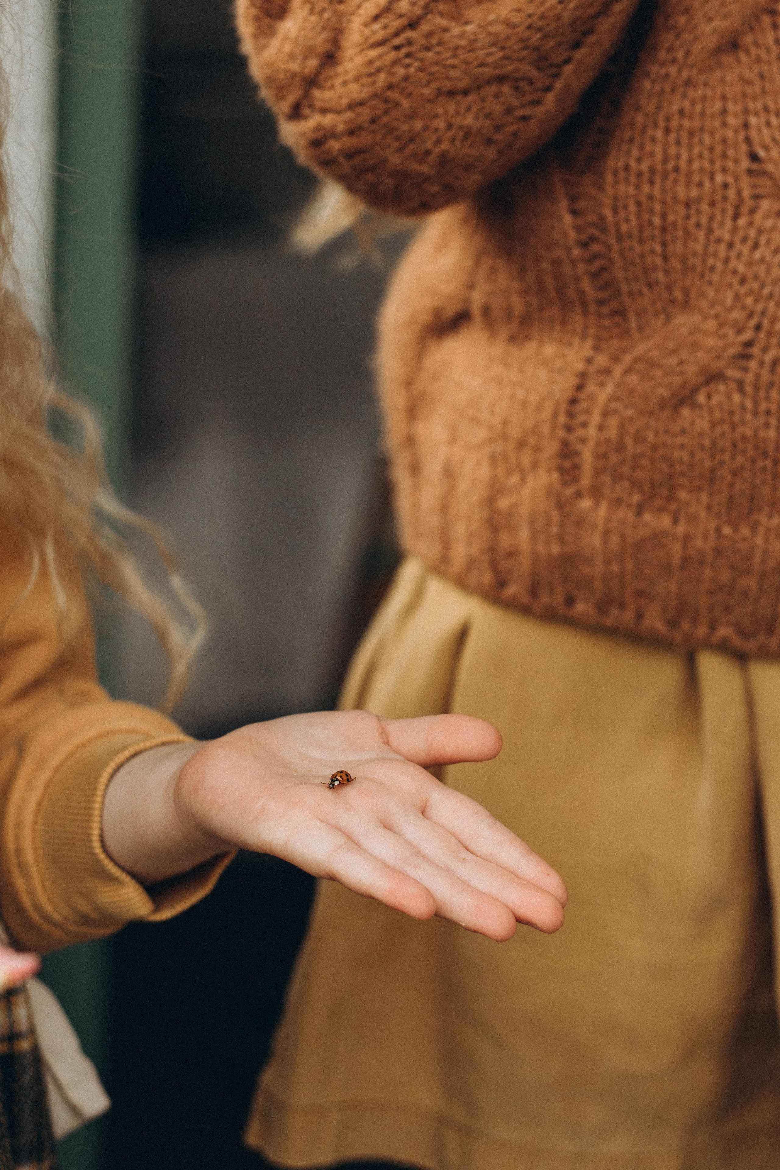 Дачная история. Семейный фотограф Наталия Демченко, Краснодар