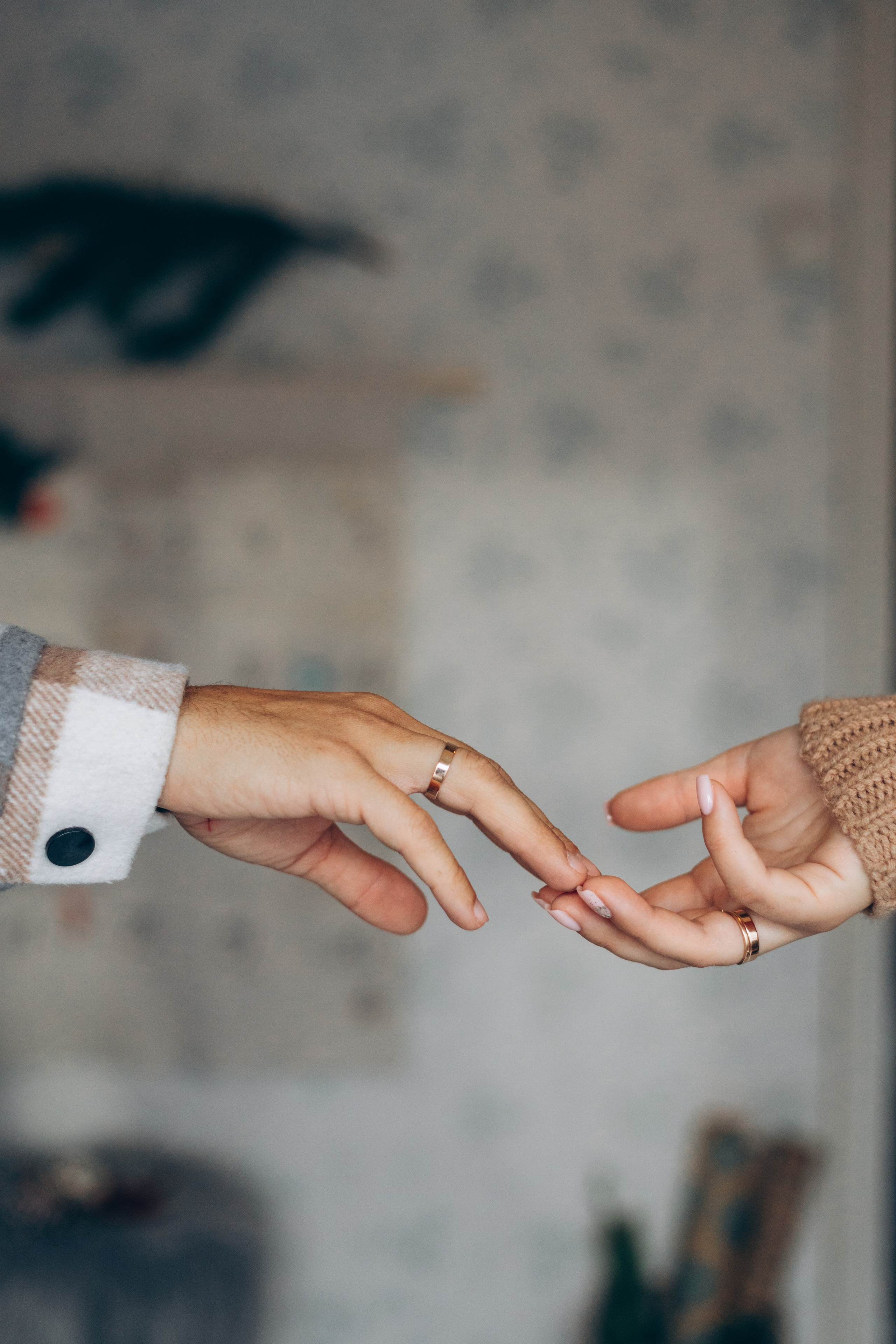 Кловер Дача (Зима). Семейный фотограф Наталия Демченко, Краснодар