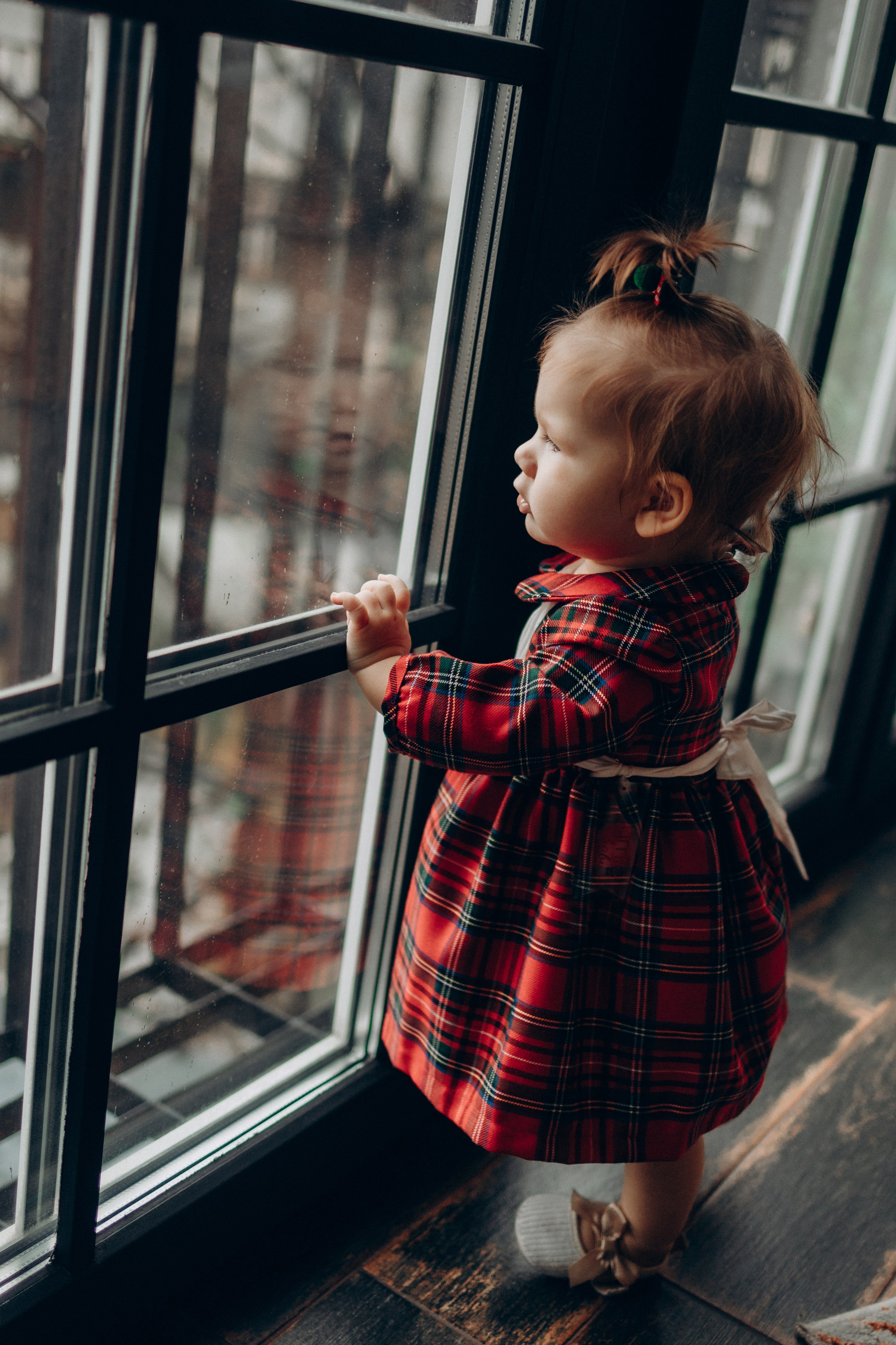 Новый год. Фотограф в Санкт-Петербурге Светлана Арестова