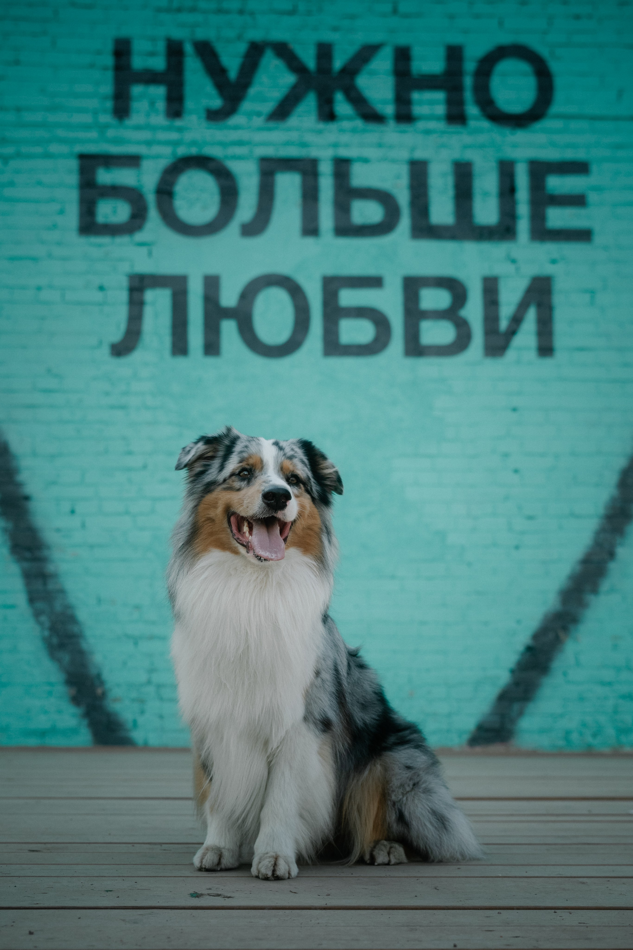 Хант. Photographer & Filmmaker in Saint-Petersburg