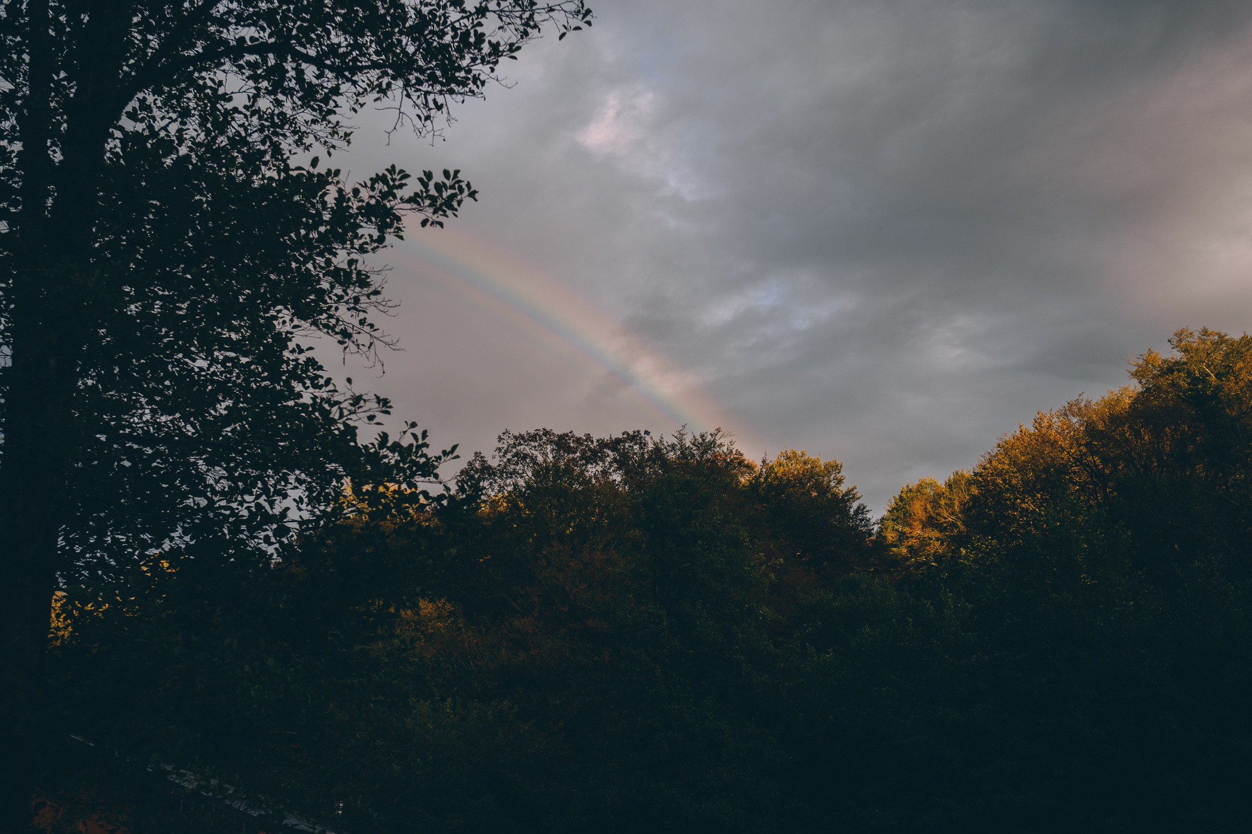 Глэмпинг Енот. Свадебный и семейный фотограф София Невская