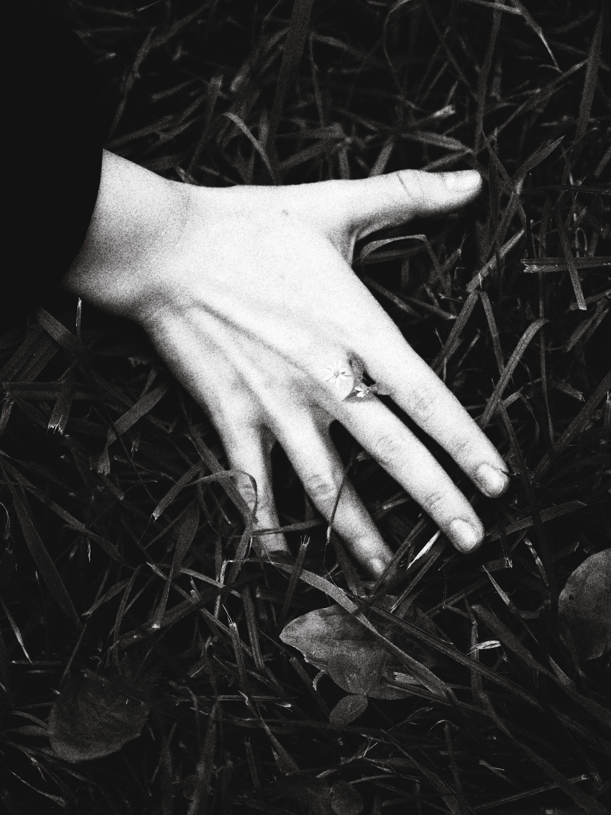 Портретные фотосессии в Москве. Фотограф-психолог Валерия Никитина в Москве