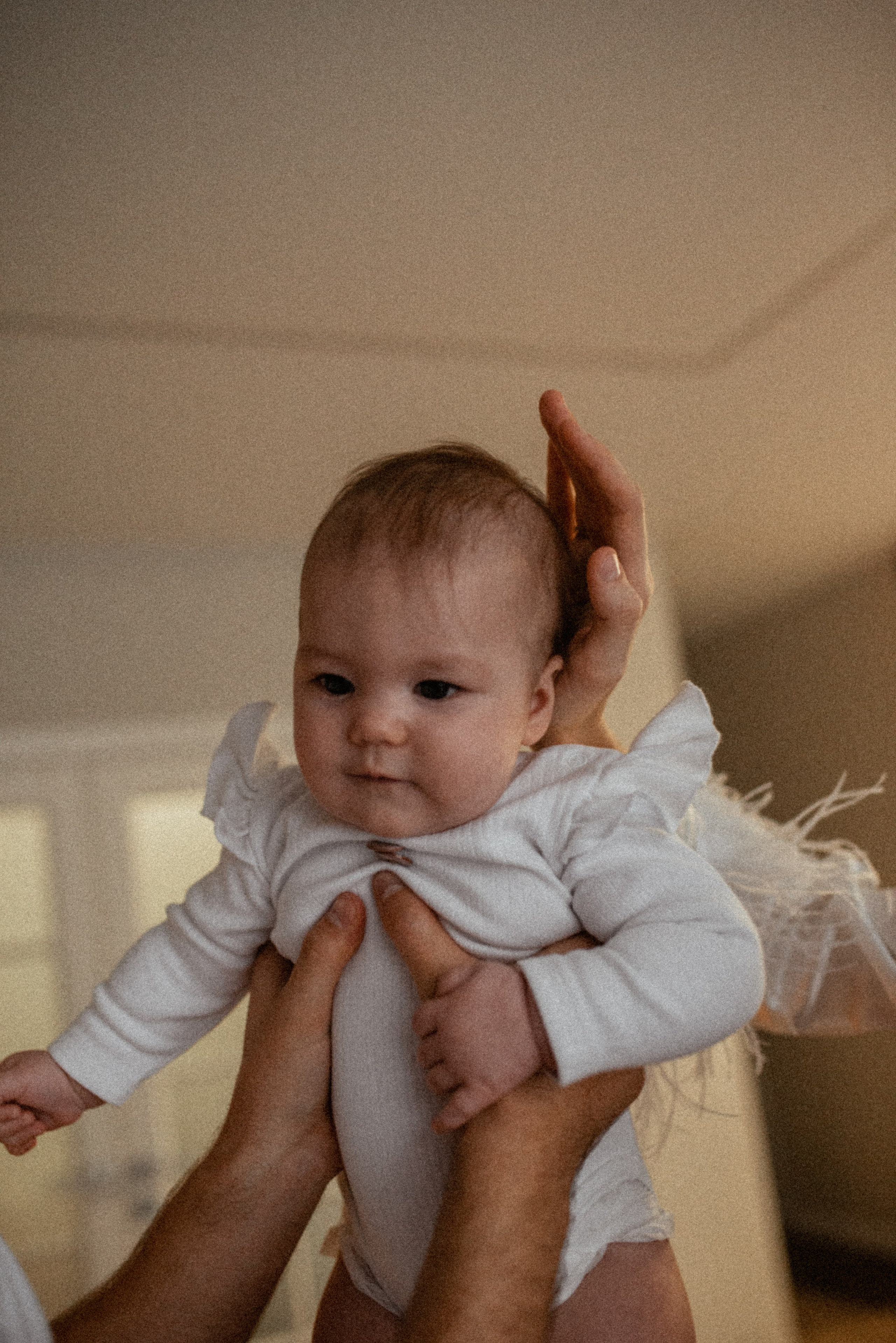 Домашняя 26.11.23. Галина Чекунова Фотограф в Ростове-на-Дону