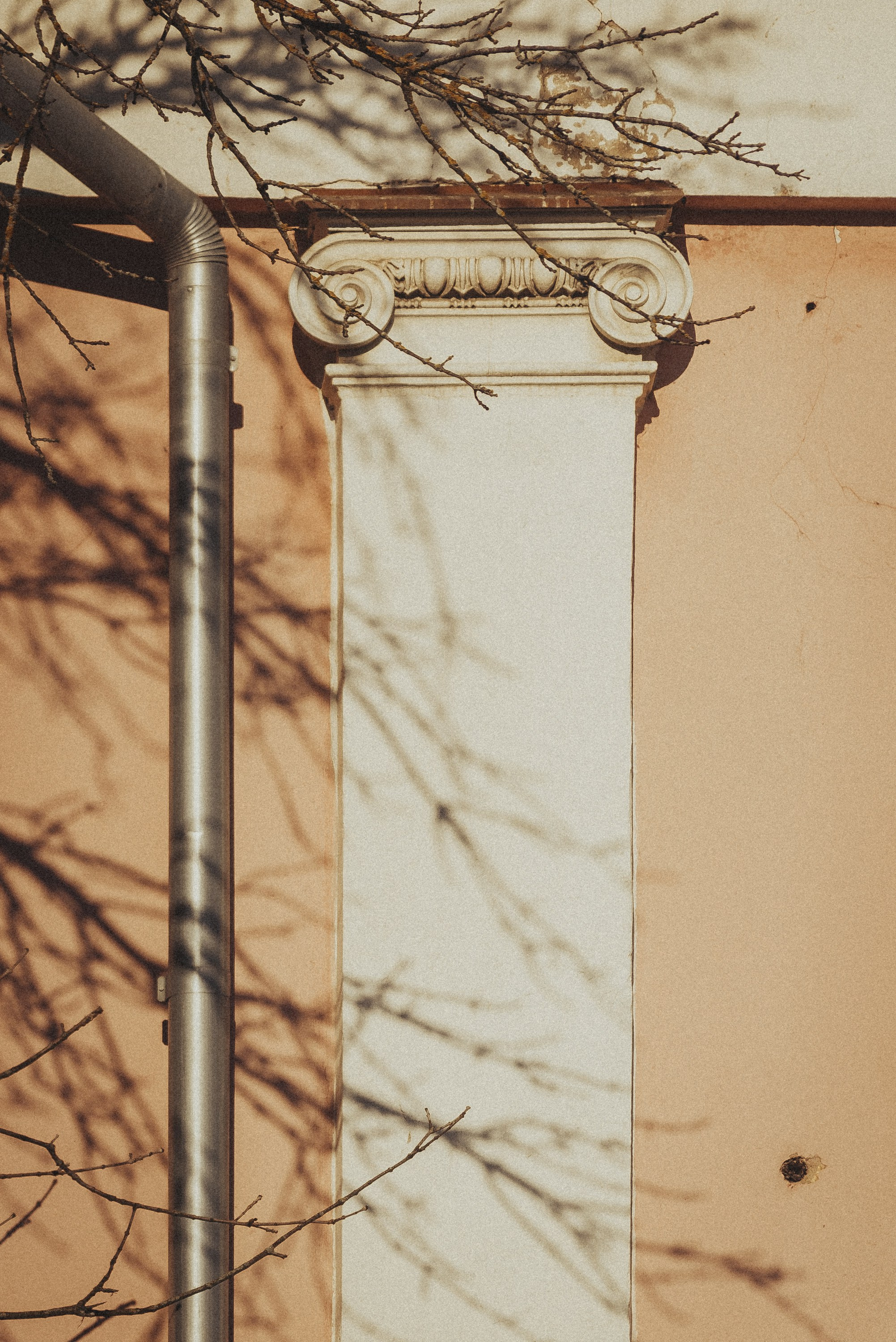 Проект #улицыгорода. Ярославль, улица Большая Фёдоровская. Документальный фотограф Илья Тихановский