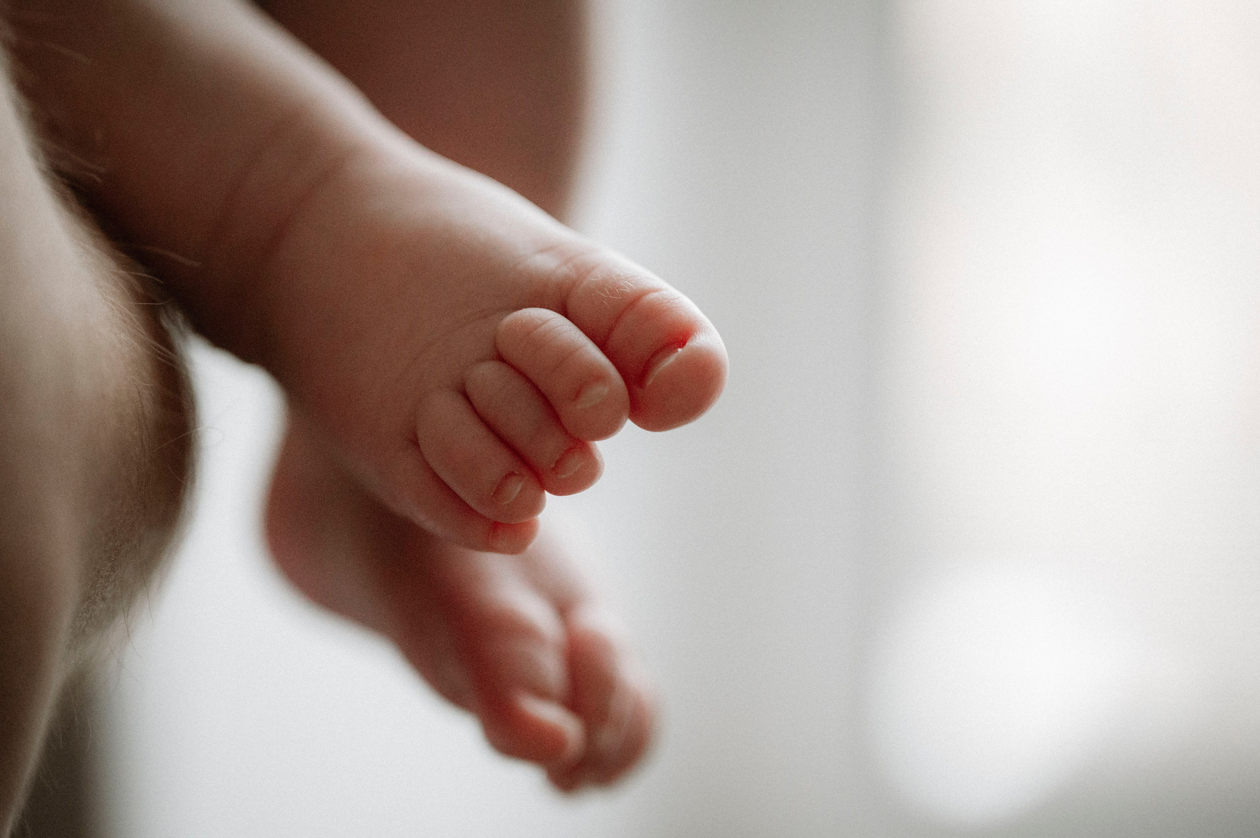 Семейная домашняя фотосессия. Профессиональный фотограф беременности в СПБ. Стильные фотосессии беременности в стиле минимализм и классическая фотография