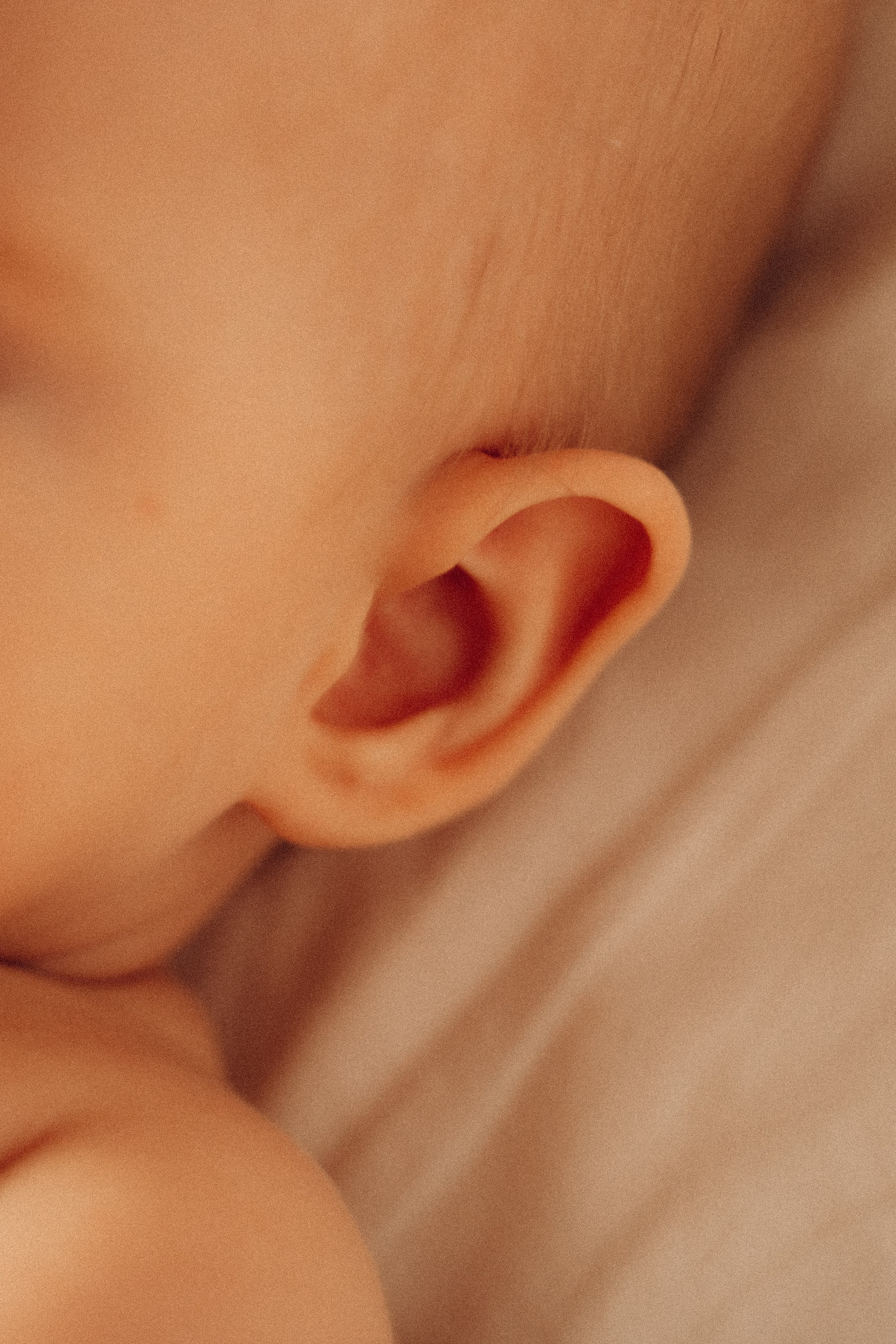 Домашняя история. Фотограф в Анапе Климушина Ангелина