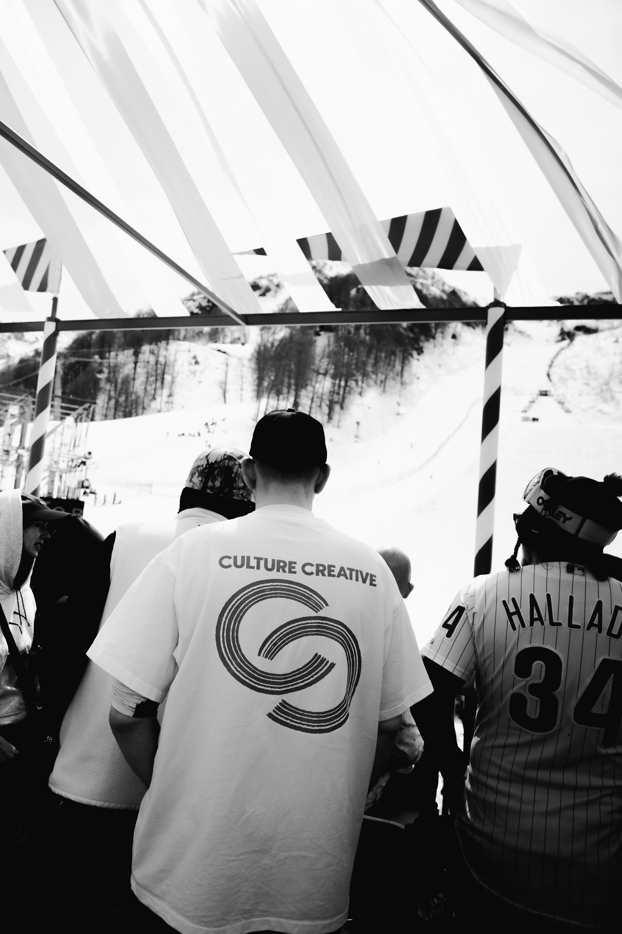 Yandex 360 & NewStarCamp