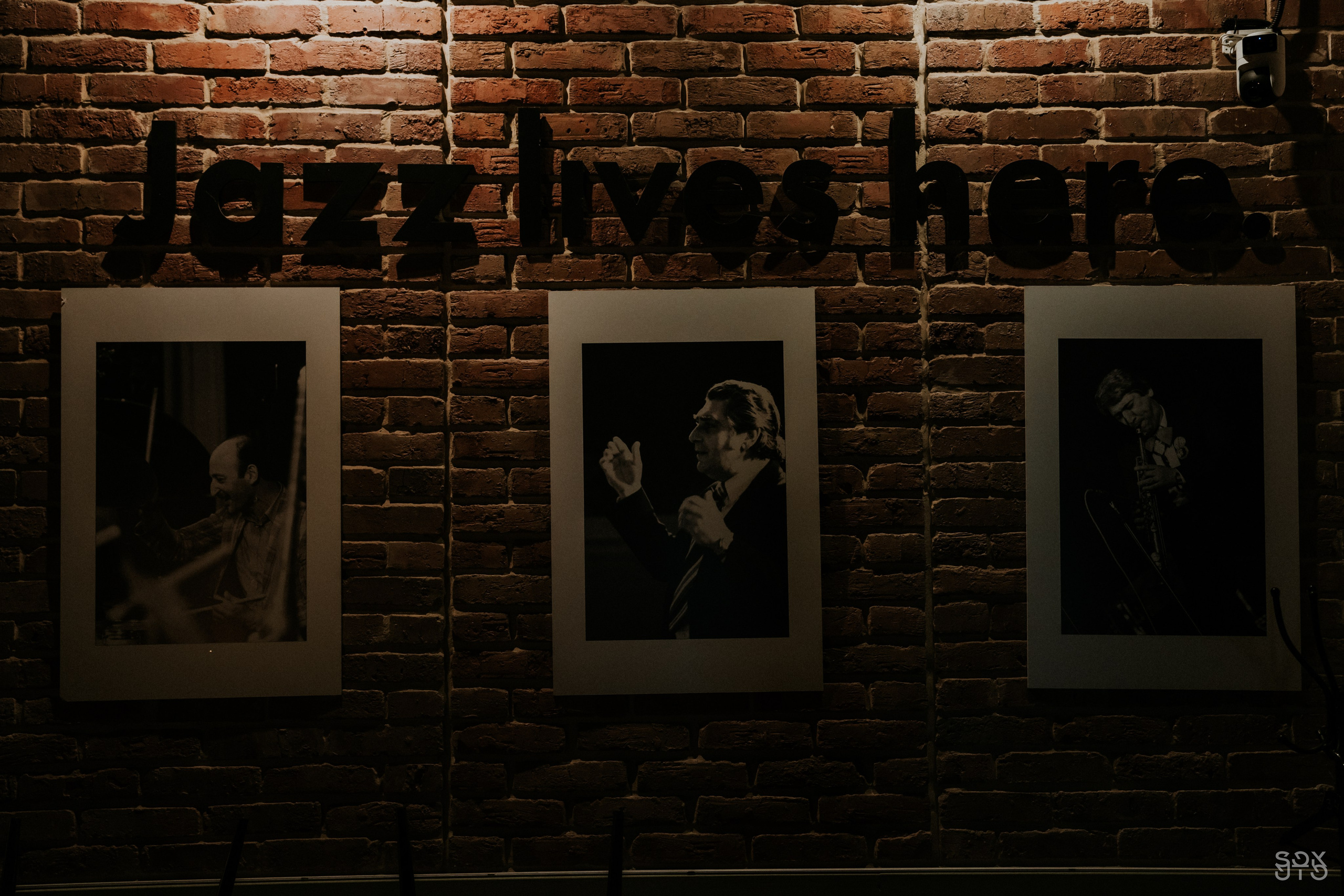 Видеопродакшн BACKED ROLL