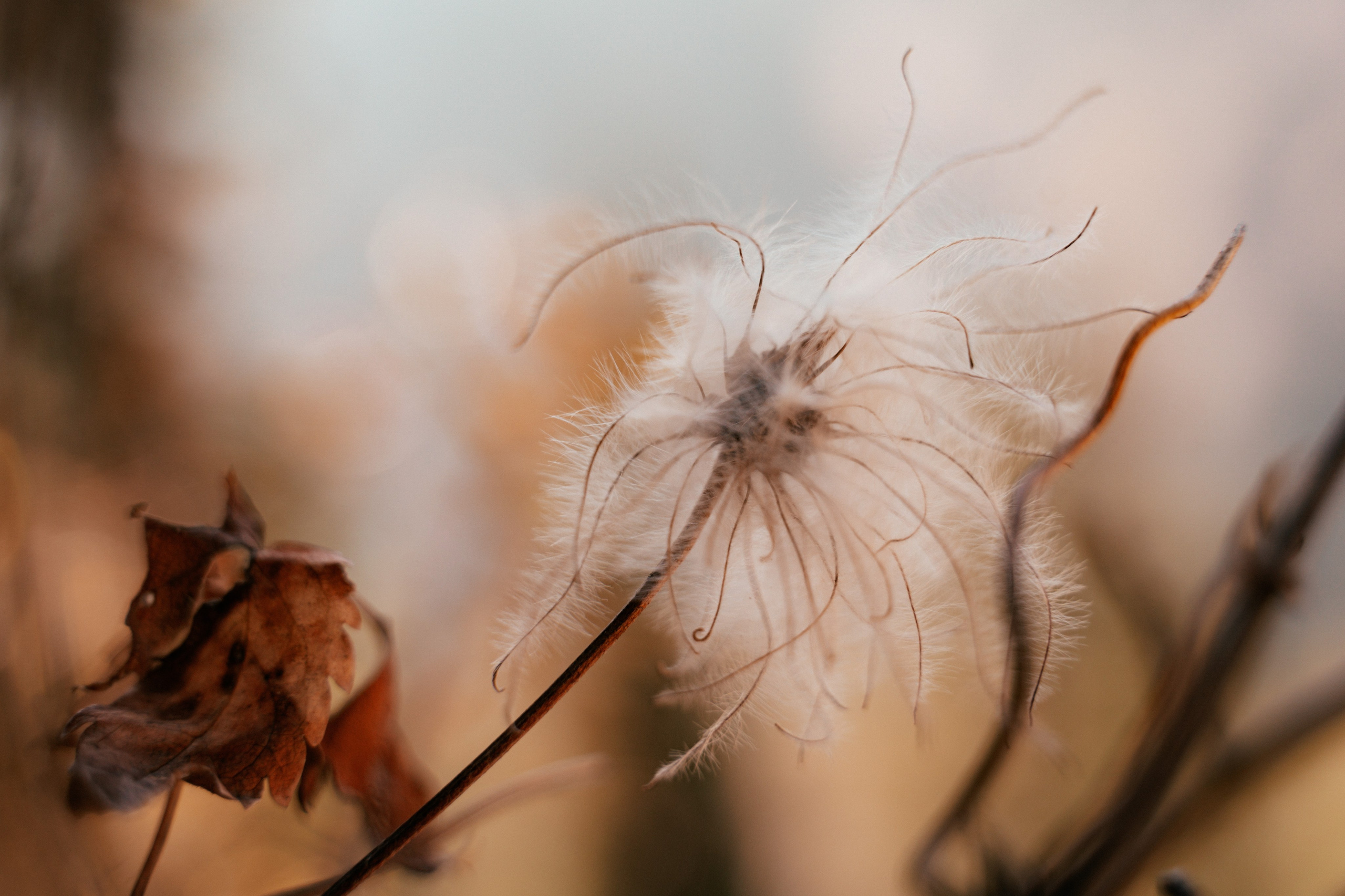 Путешествия. Портретный фотограф в Москве Эмиль Халиков